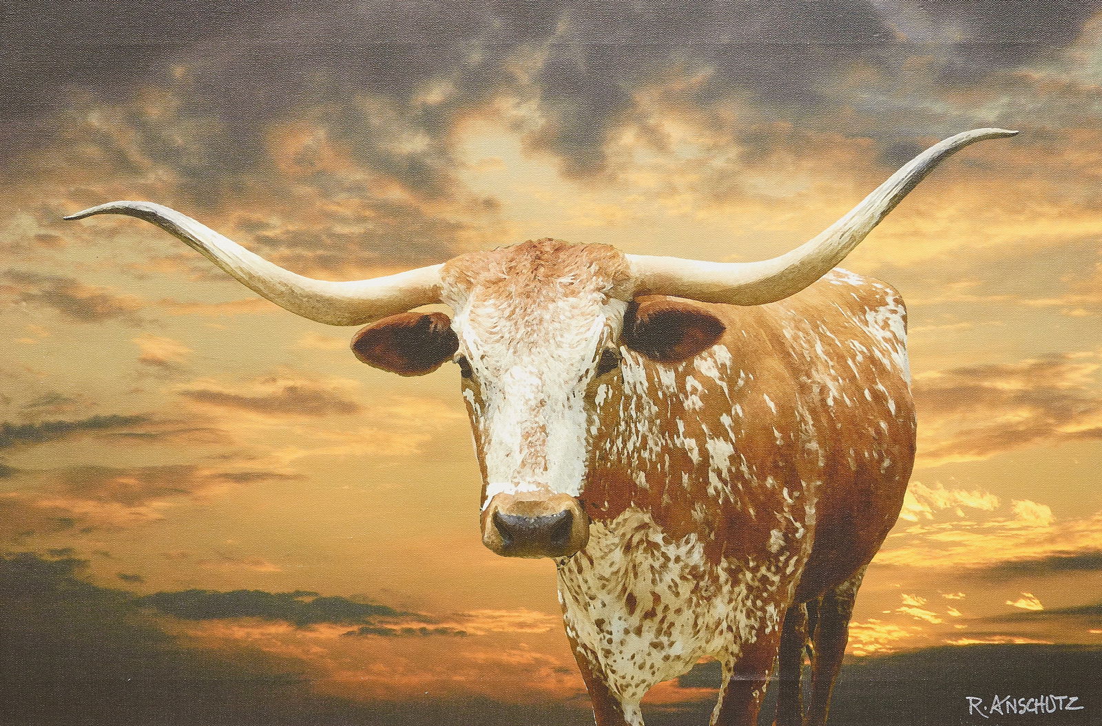 Robert Anchutz, "Longhorn Sunset": Robert Anschutz (Texas, 20th-21st C.), "Longhorn Sunset", photographic transfer on canvas, signed lower right sight: 20 x 30 in., frame: 23 x 33 in. Provenance: Property from
