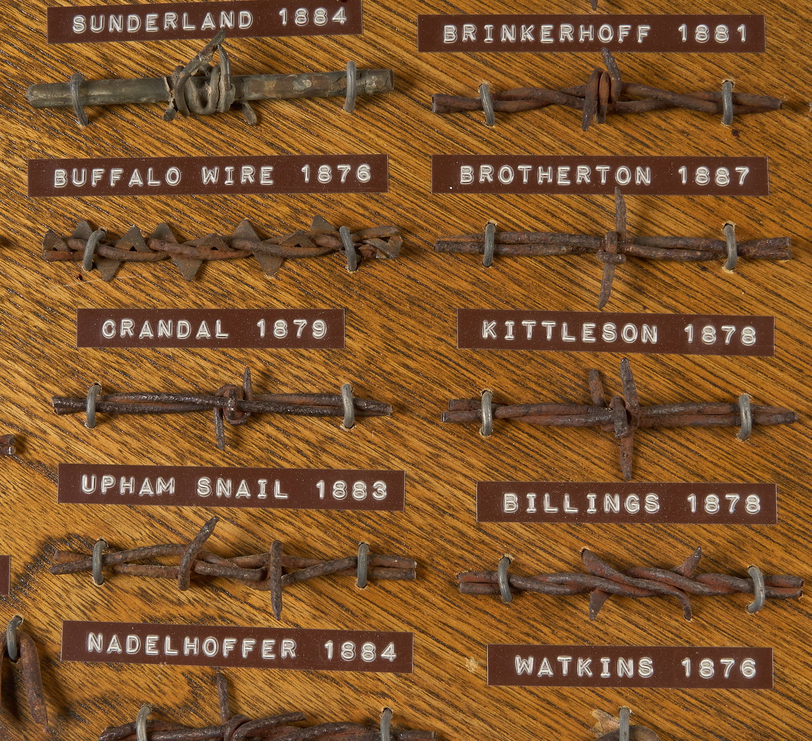 Texas Barbed Wire Display - 4