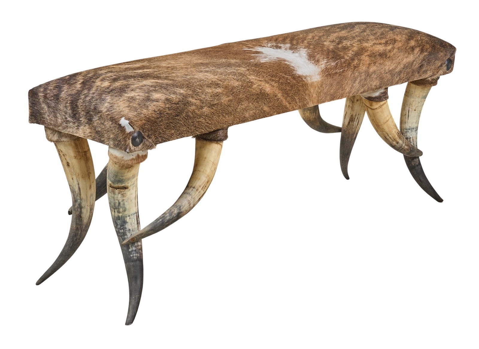 After Friedrich August Wenzel Horn Bench: After Friedrich August Wenzel bench with hair on hide upholstery, and steer horn legsheight 20 in. x width 49 in. depth 14 in. Provenance: Property from a home in Schertz, Texas