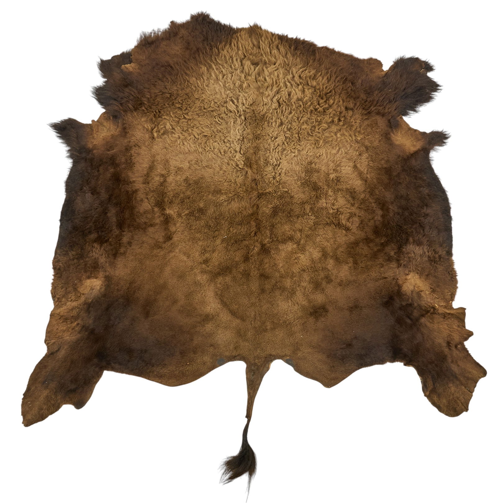 Buffalo Hide Rug: Buffalo hide rug8 ft. 3 in. x 6 ft. 3 in. Provenance: Property from a home in San Antonio, Texas