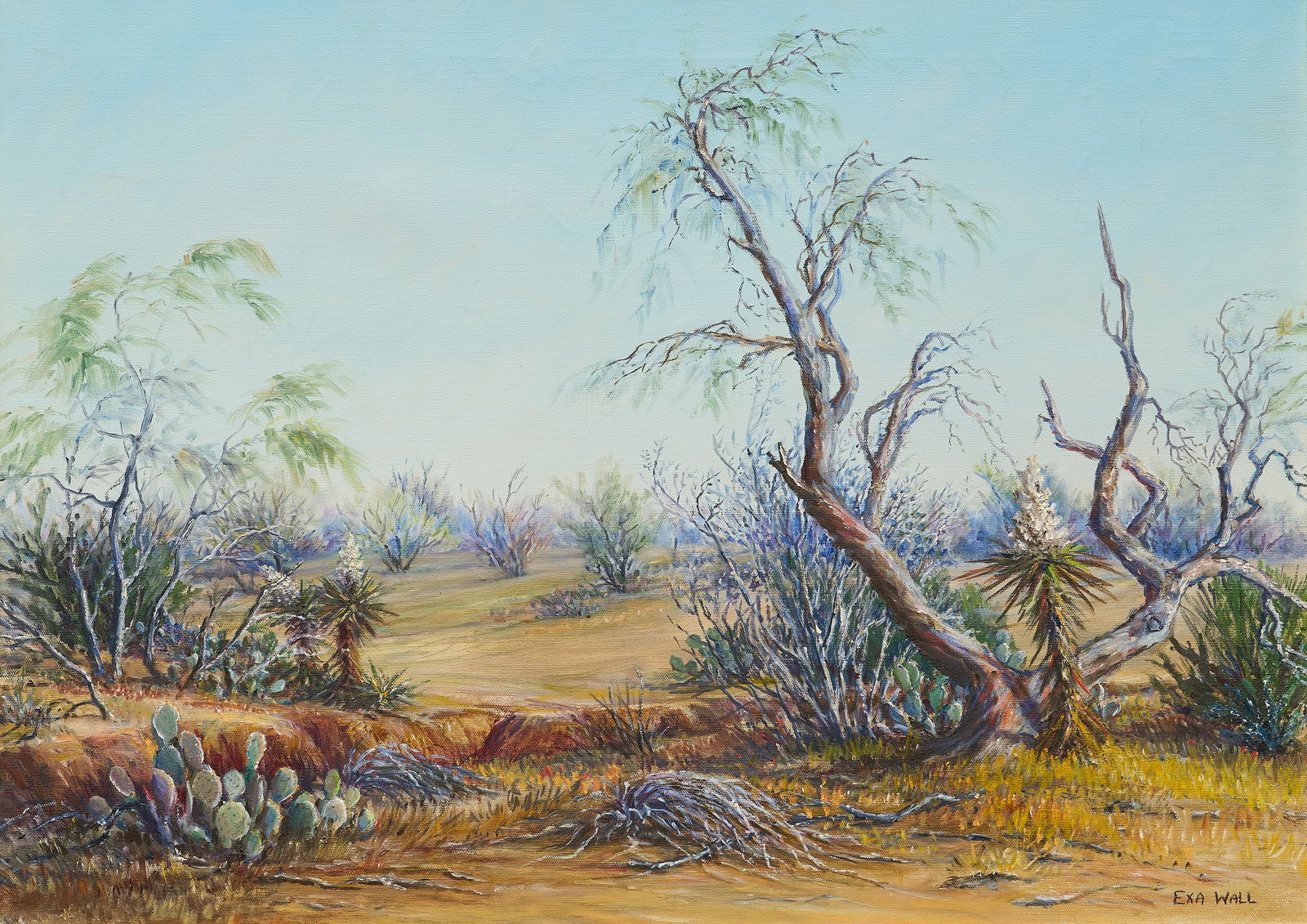 Exa Wall, Cactus Landscape: Exa Wall (San Antonio, Texas, 1898-1998), landscape with cactus and yucca, oil on canvas, signed lower right sight: 20 x 28 in., frame: 25 x 33 in.Provenance: Property from a home in