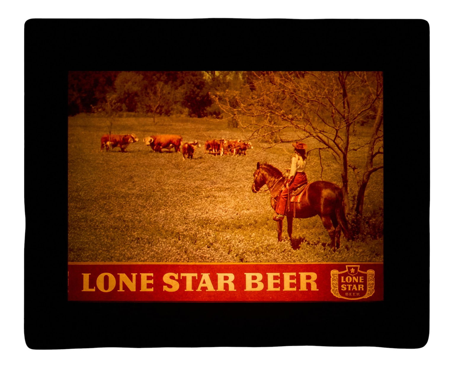 Lone Star Beer Lighted Sign, 1955 (1 of 4)