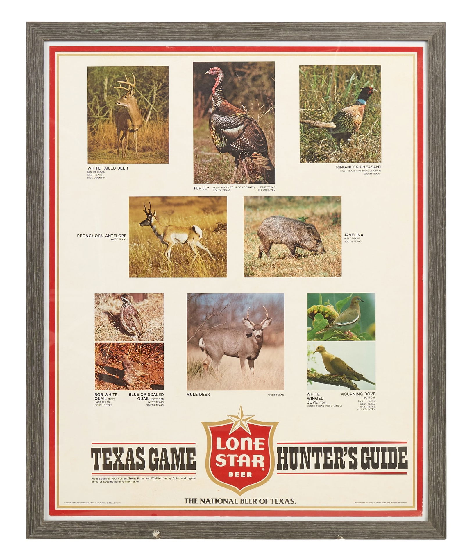 Framed Lone Star Hunting Guide Poster (1 of 4)