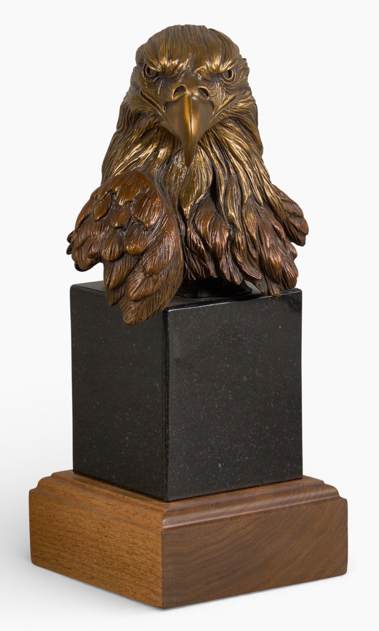 Dr. Robert Taylor, Eagle Bust: Dr. Robert Taylor (Colorado / Texas, 20th-21st C.), eagle bust, artist-cast bronze sculpture on wooden base, incised signature, date ('95) and edition number, #67 under wingheight 12 in. x width