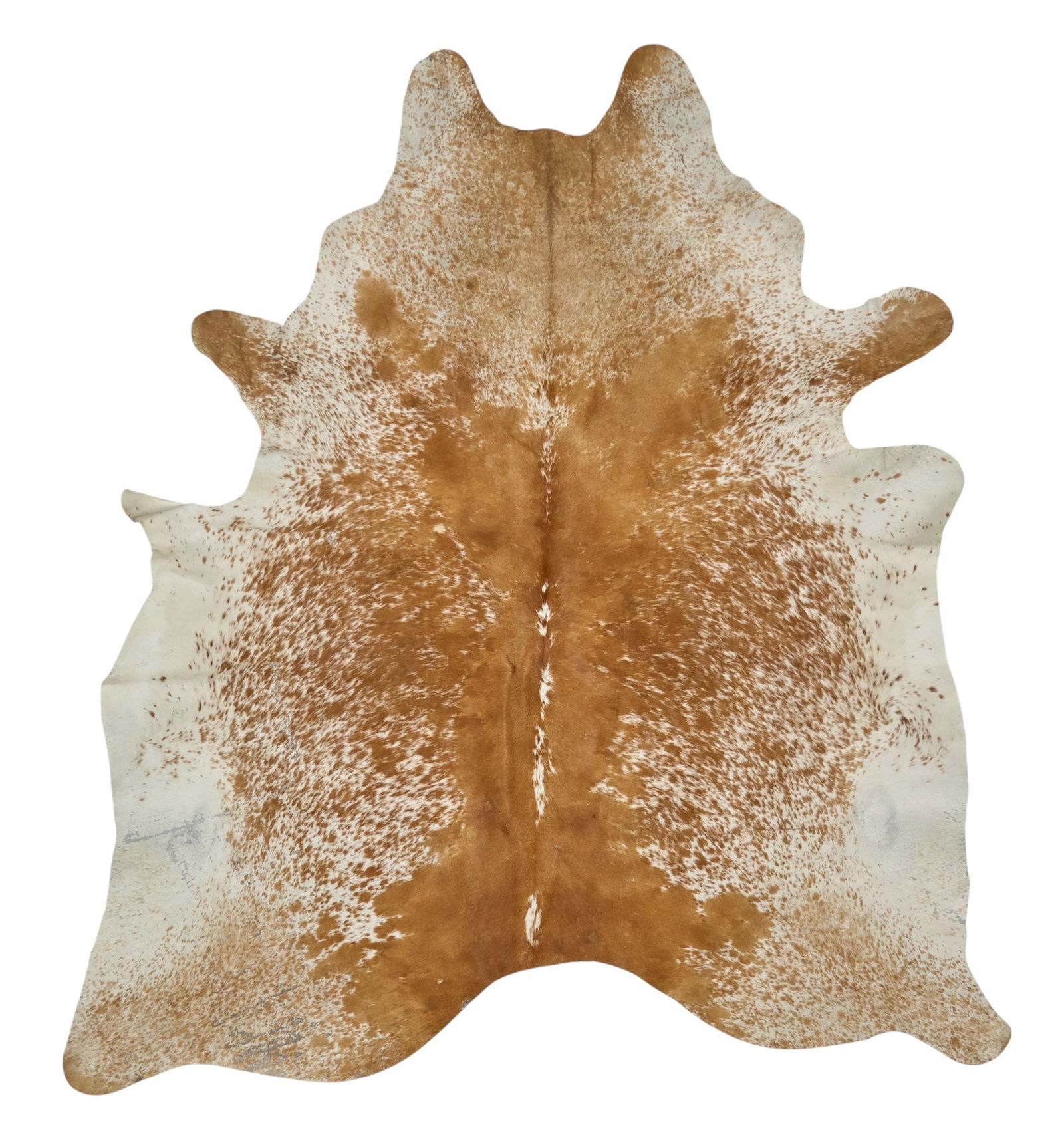 Longhorn Hide Rug, 7 ft. 4 in. x 6 ft. 3 in.: Orange and white longhorn hide rug7 ft. 4 in. x 6 ft. 3 in.Provenance: Property from a Wimberley, Texas art and antiques collector