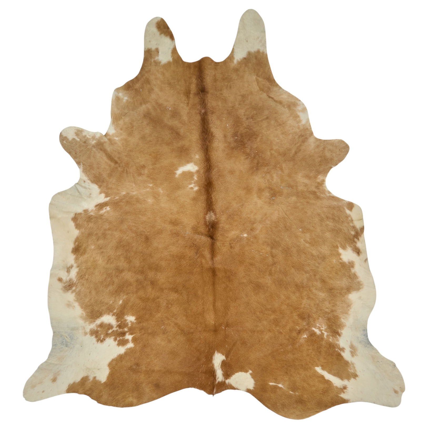 Longhorn Hide Rug, 7 ft. 7 in. x 7 ft.: Orange and white longhorn hide rug7 ft. 7 in. x 7 ft. Provenance: Property from a Wimberley, Texas art and antiques collector 