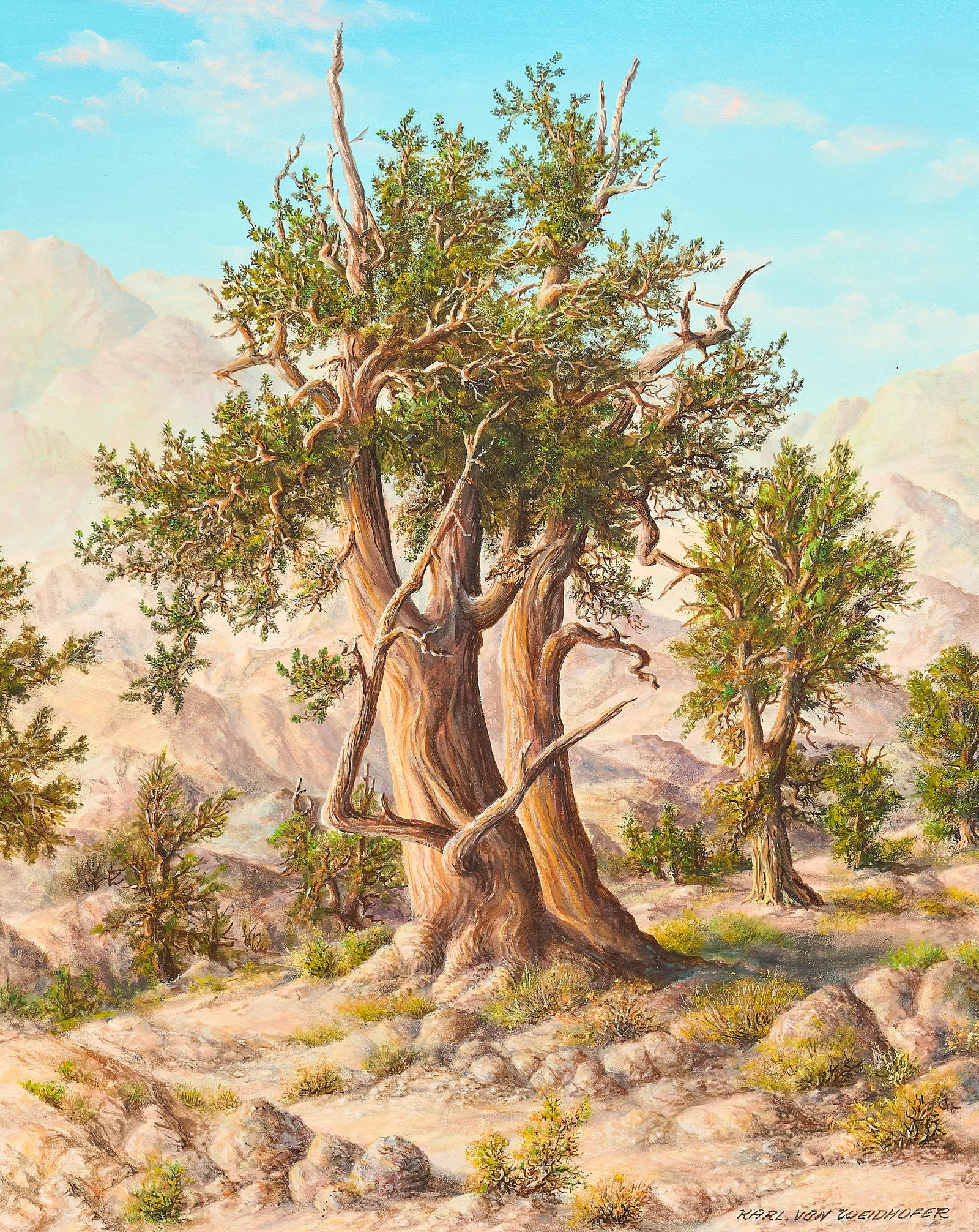 Karl Von Weidhofer, Trees in the Desert: Karl von Weidhofer (California, 1920-2001), trees growing in the desert, oil on canvas, signed lower right, artist's gallery sticker affixed to the versosight: 20 x 16 in., frame: 27.5