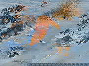 Bob Tommey, "On the Trail": Bob Tommey (Missouri / Arkansas, b. 1928), "On the Trail", oil on panel, signed lower rightsight: 18 x 24 in., frame: 29.5 x 35.5 in.Provenance: Property deaccessioned from a major