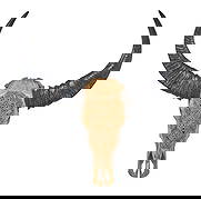 Carved Buffalo Skull: Intracately carved bison skull folk art height 32 in. x width 29 in. x depth 9 in. Provenance: Property from a home in Azle, Texas