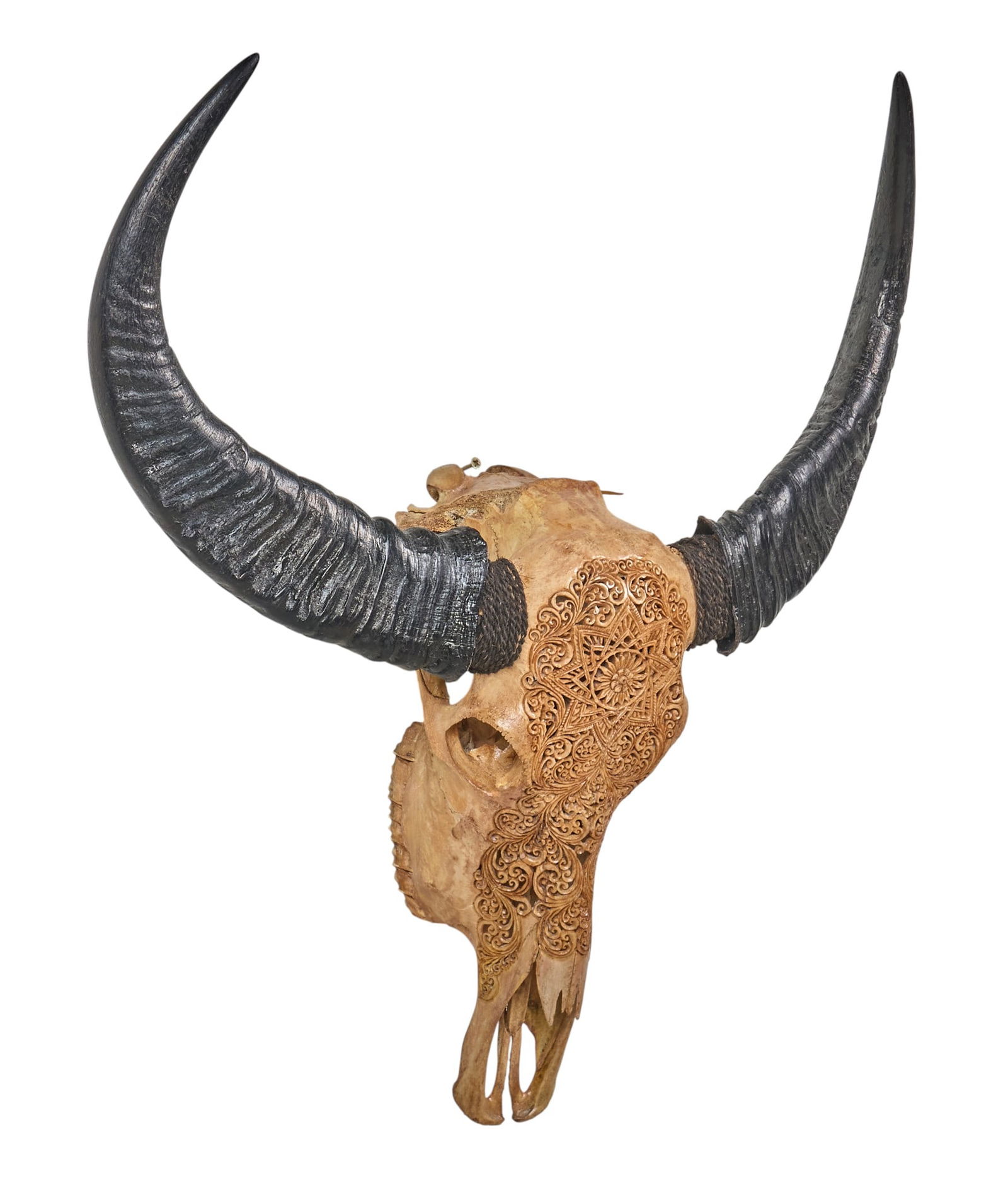Carved Buffalo Skull - 2