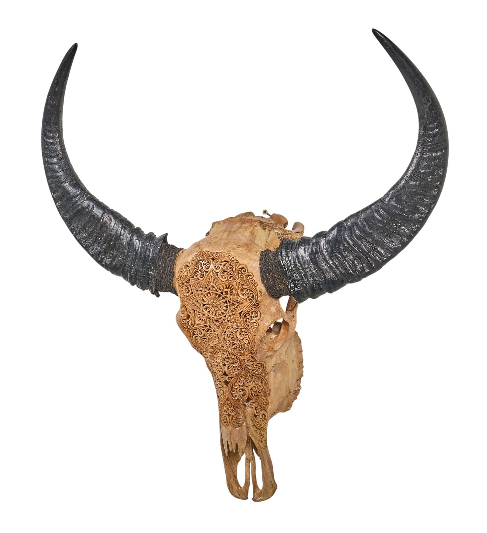 Carved Buffalo Skull - 3