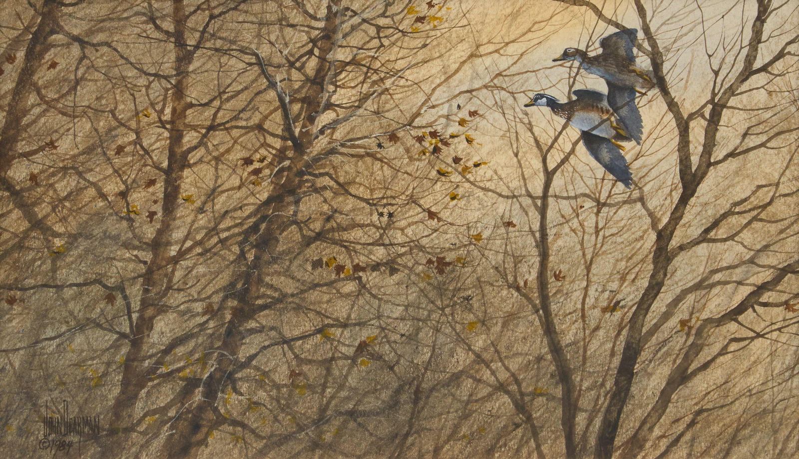 John Dearman, Two Ducks, 1984: John Dearman (Texas, b. 1948), two ducks in underbrush, watercolor on paper, signed and dated lower left, 1984sight: 8 x 13 in., frame: 12.5 x 17.5 in.Provenance: Property from a home in San