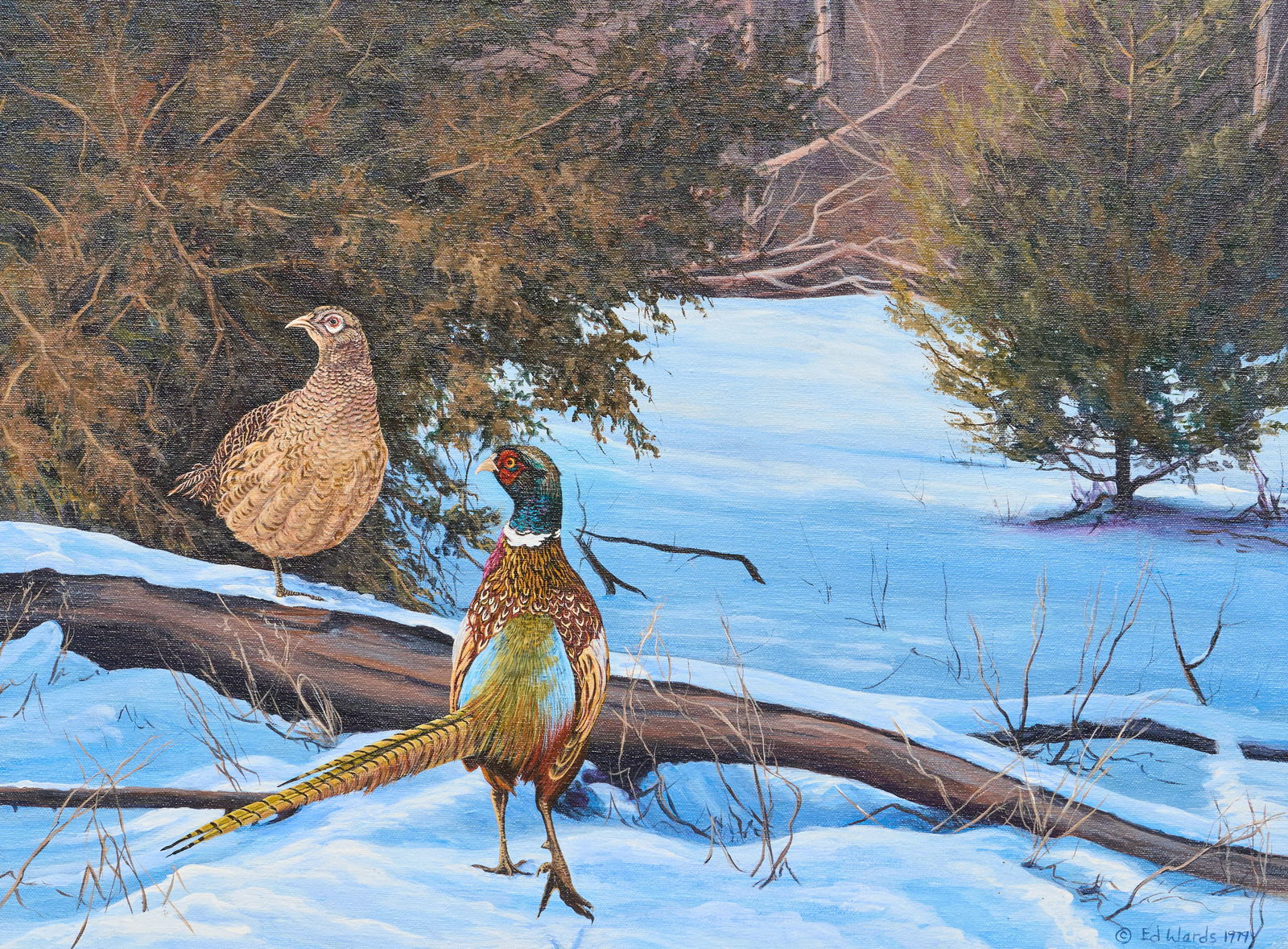 Ed Wards, "Touch of Sun": Ed Wards (pseudonym for Charlotte Edwards, Nebraska, b. 1928), "Touch of Sun", oil on canvas, signed lower rightsight: 18 x 24 in., frame: 26 x 32 in.Provenance: Property deaccessioned from