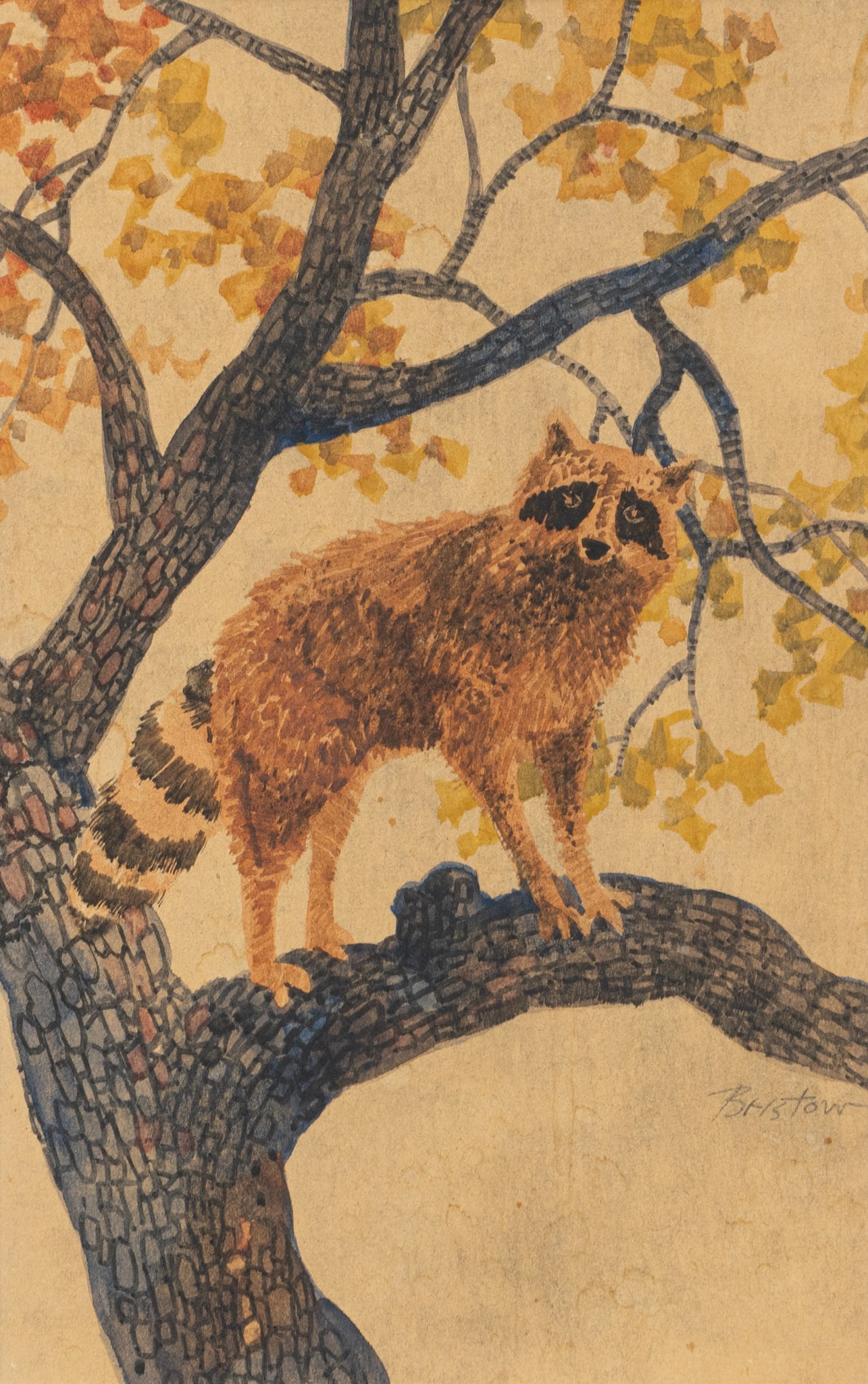 Bill Bristow, Racoon in Tree: William Arthur Bristow (Texas, 1937-2022), raccoon in tree branches, watercolor on paper, signed lower rightsight: 10 x 7 in., frame: 18.5 x 15 in.Provenance: Property from a Rockport, Texas home
