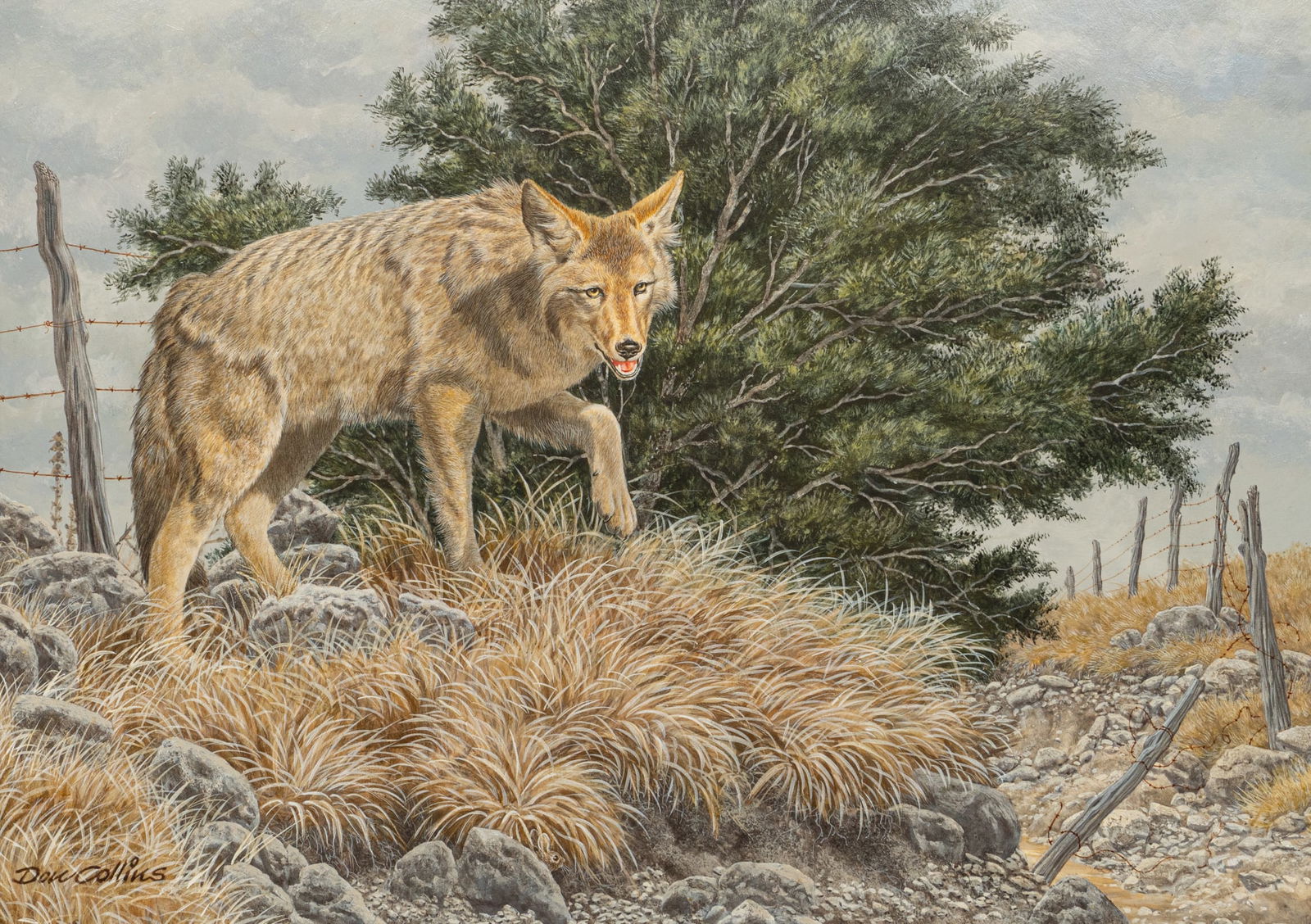 Don Collins, "Wary Wanderer": Don Collins (Texas, 20th-21st C.), "Wary Wanderer", acrylic on watercolor board, signed lower leftsight: 20 x 28 in., frame: 29 x 37 in.Provenance: Property from a home in Austin, Texas