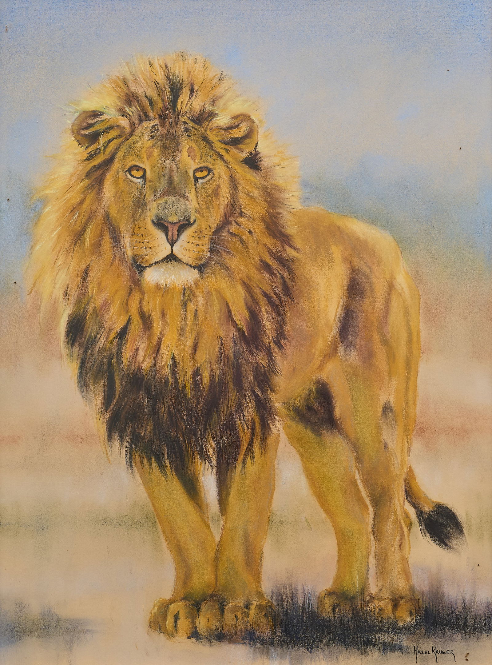 Hazel Kruger, Lion Portrait: Hazel Kruger (South Africa, 20th-21st C.), male lion portrait from a series of the African Big Five, pastel on paper, signed lower rightsight: 29 x 22 in., frame: 32 x