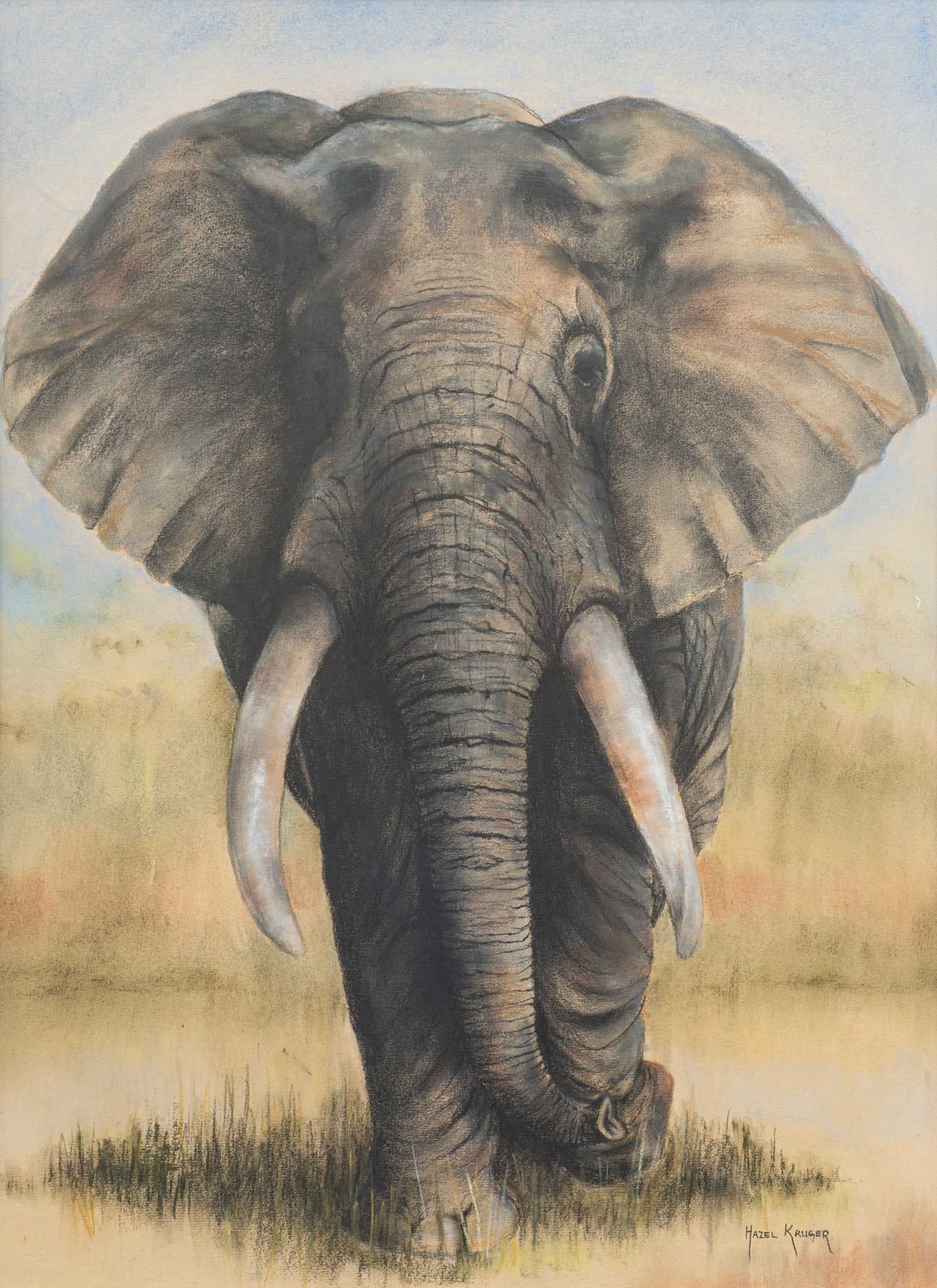 Hazel Kruger, African Elephant Portrait: Hazel Kruger (South Africa, 20th-21st C.), African elephant portrait from a series of the African Big Five, pastel on paper, signed lower rightsight: 29 x 22 in., frame: 32 x