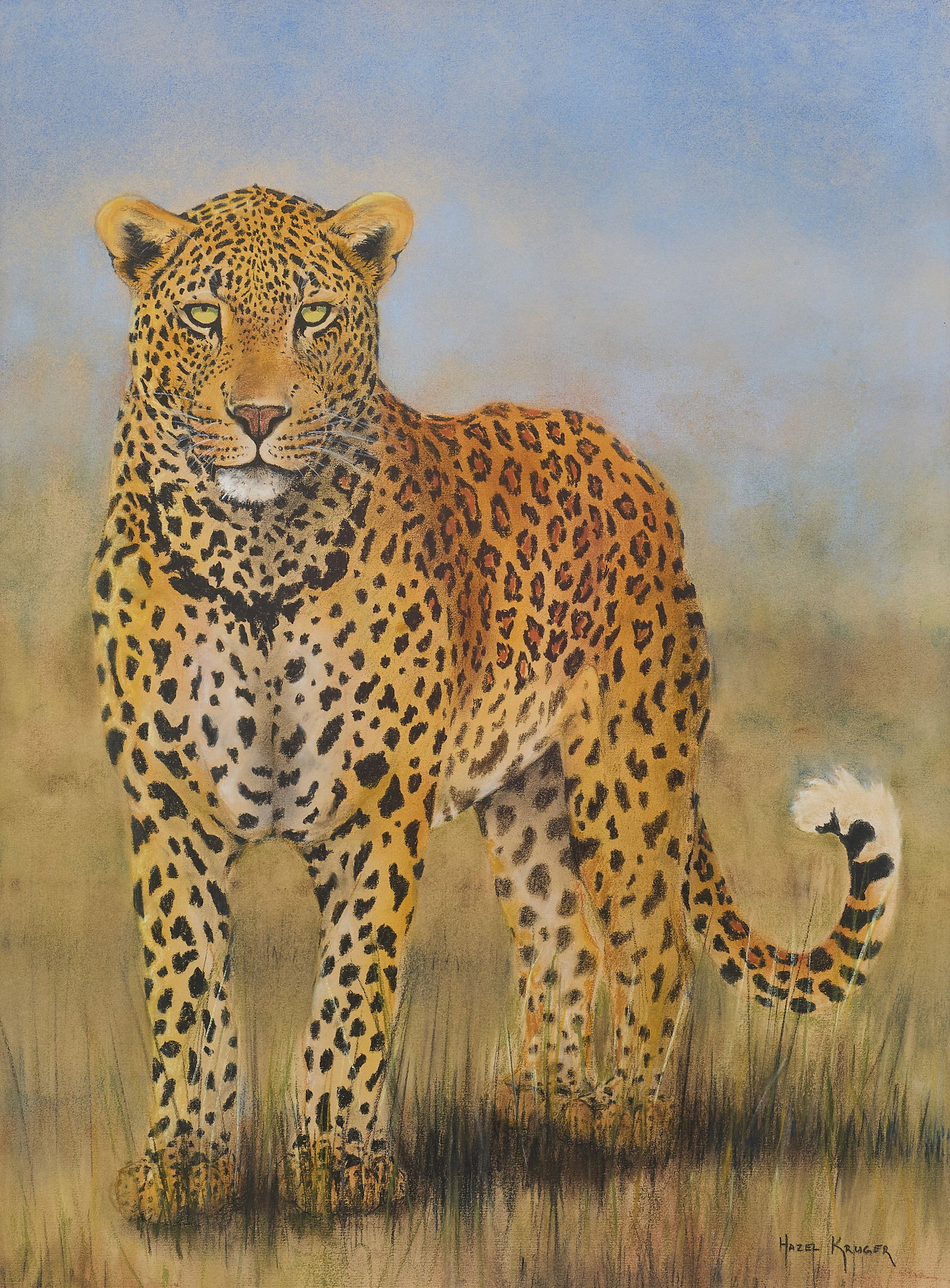 Hazel Kruger, Leopard Portrait: Hazel Kruger (South Africa, 20th-21st C.), leopard portrait from a series of the African Big Five, pastel on paper, signed lower rightsight: 29 x 22 in., frame: 32 x