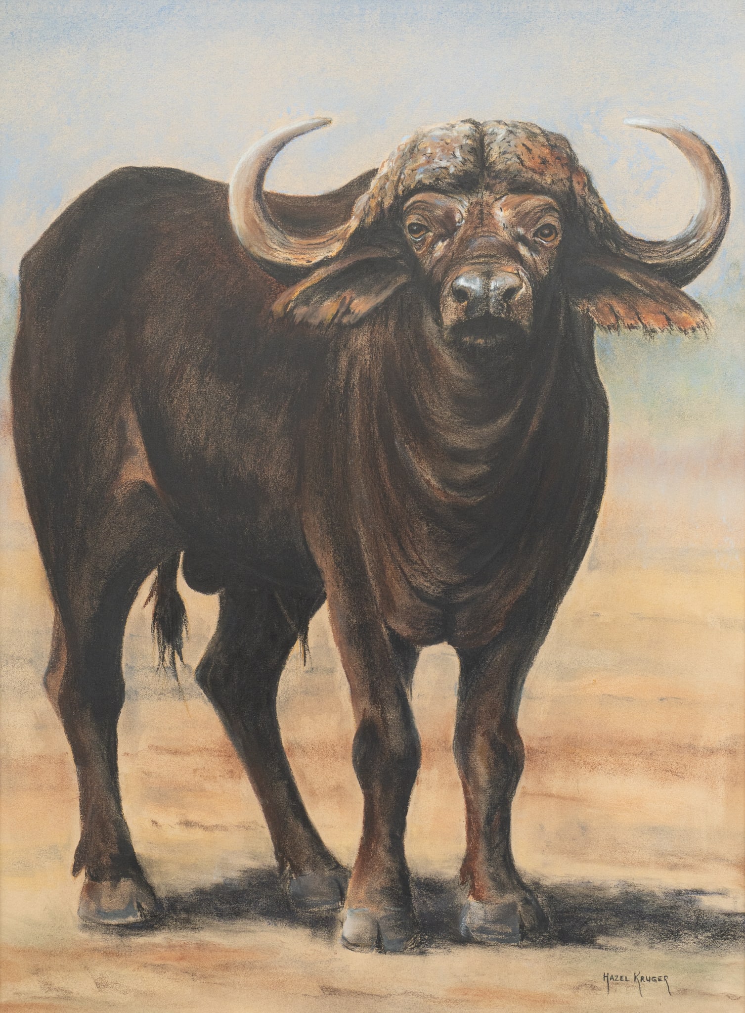 Hazel Kruger, Water Buffalo Portrait: Hazel Kruger (South Africa, 20th-21st C.), water buffalo portrait from a series of the African Big Five, pastel on paper, signed lower rightsight: 29 x 22 in., frame: 32 x