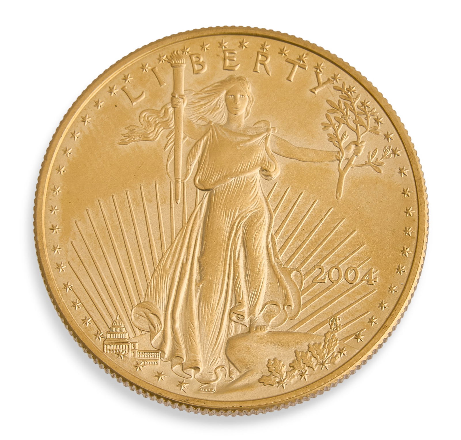 2004 $50 American Gold Eagle Coin (1 of 2)