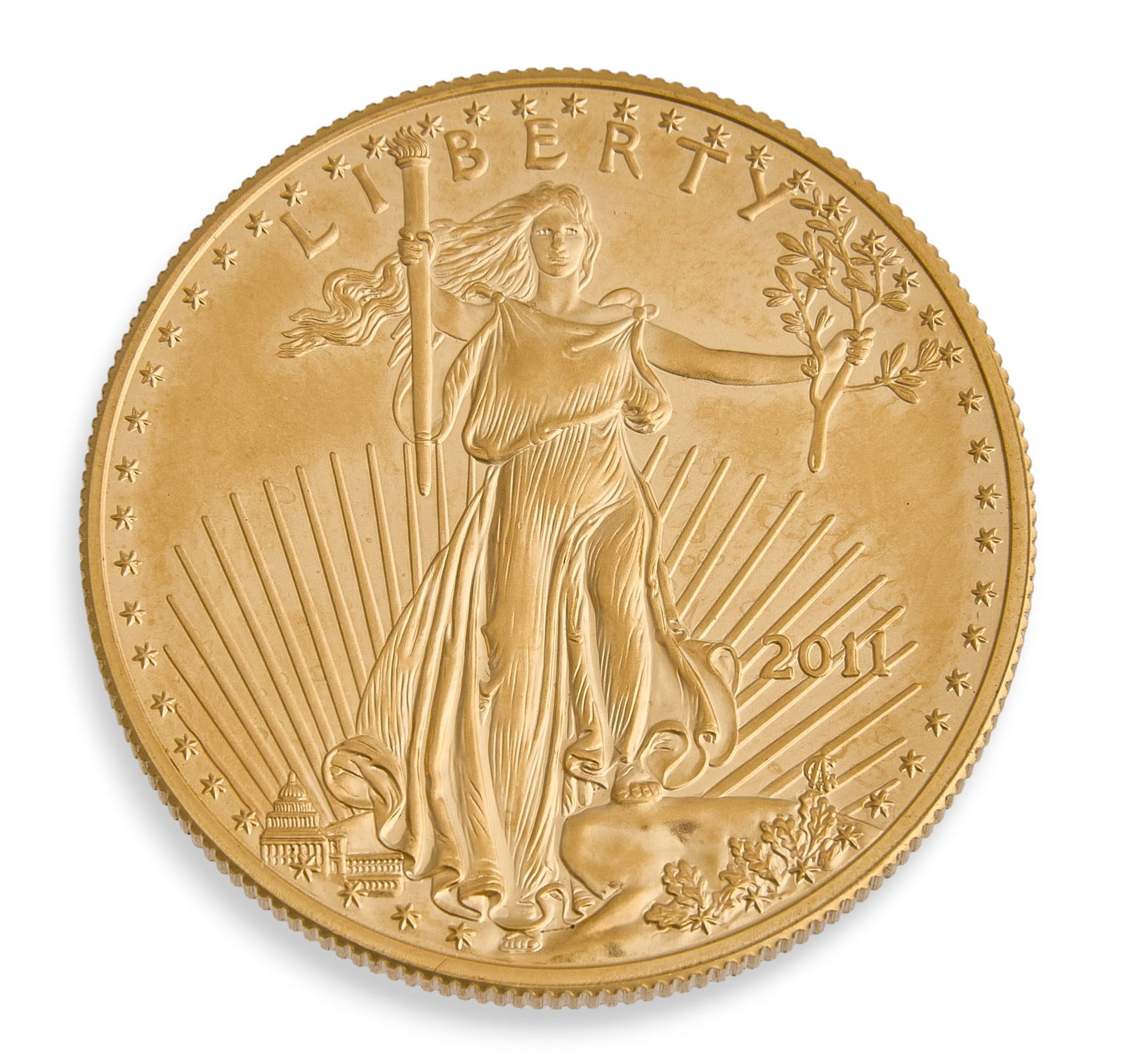 2011 $50 American Gold Eagle Coin (1 of 2)