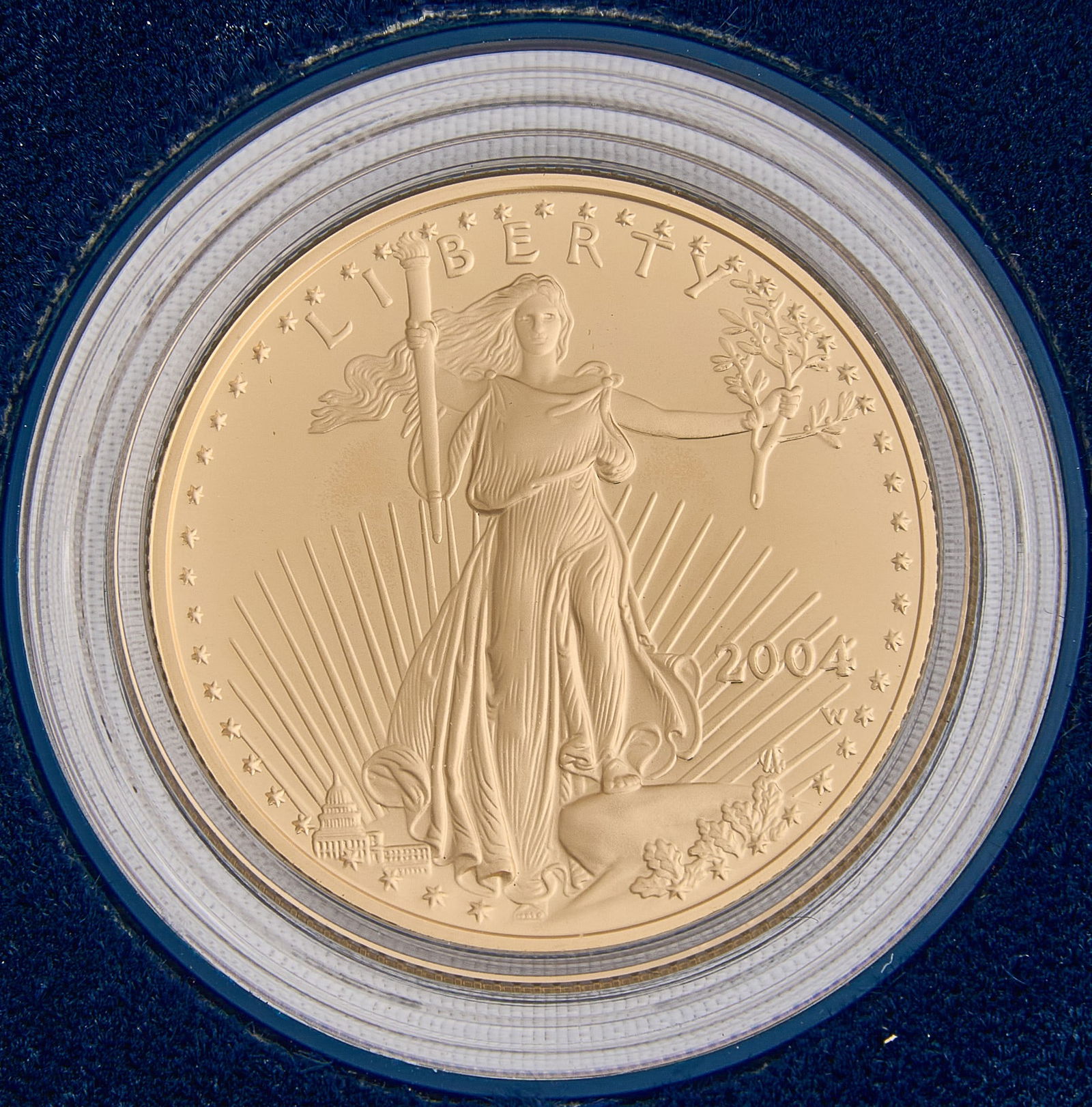 2004 American Eagle 1/2 oz Gold Proof Coin (1 of 6)