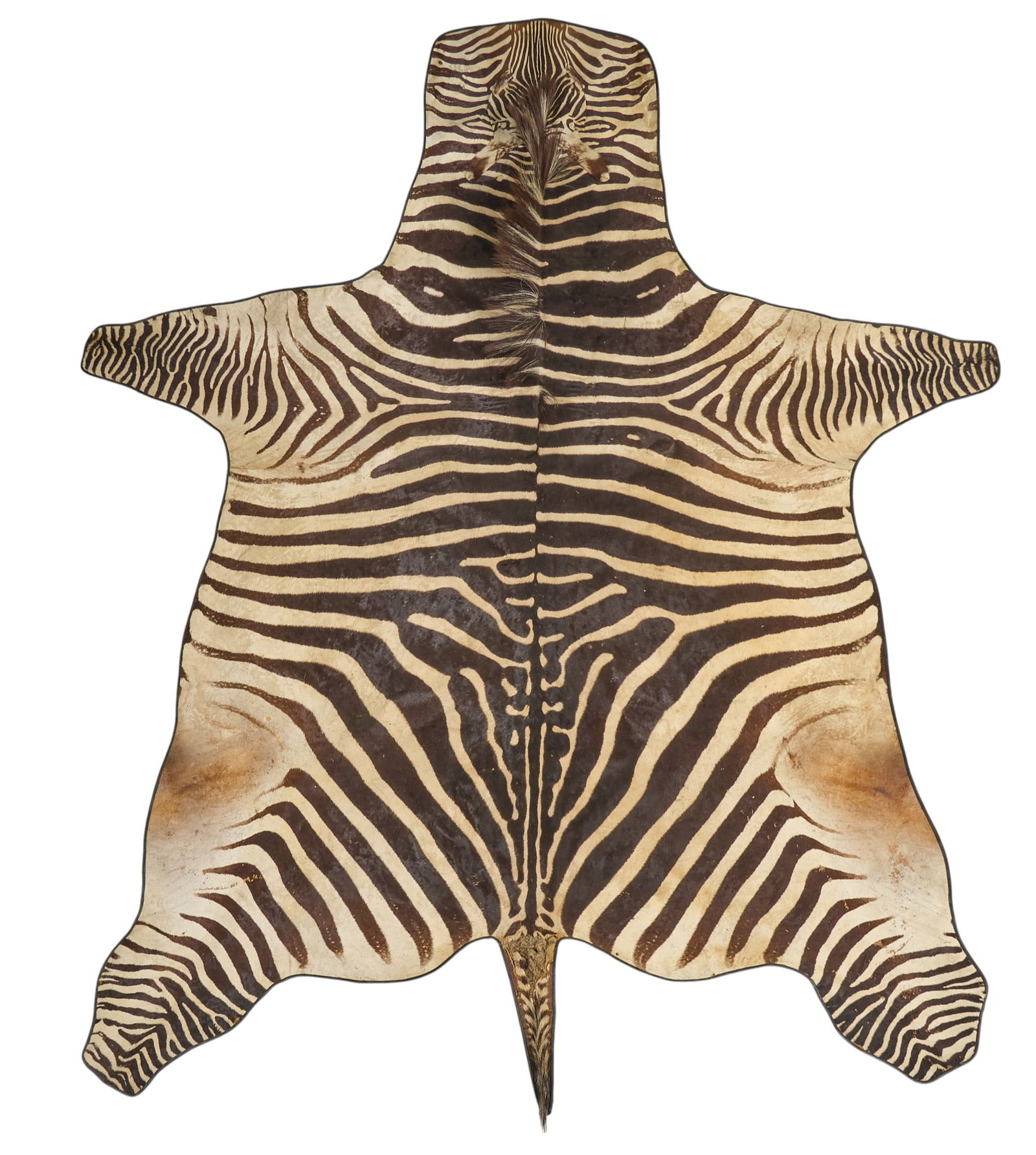 Zebra Hide Rug, 9 ft. 6 in. x 7 ft. 6 in. (1 of 3)