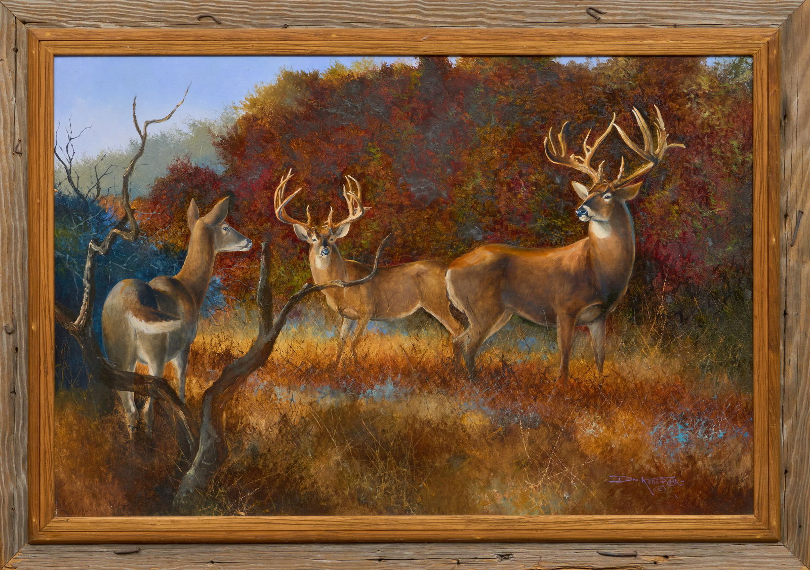 Don Keller, Whitetail Deer - 2