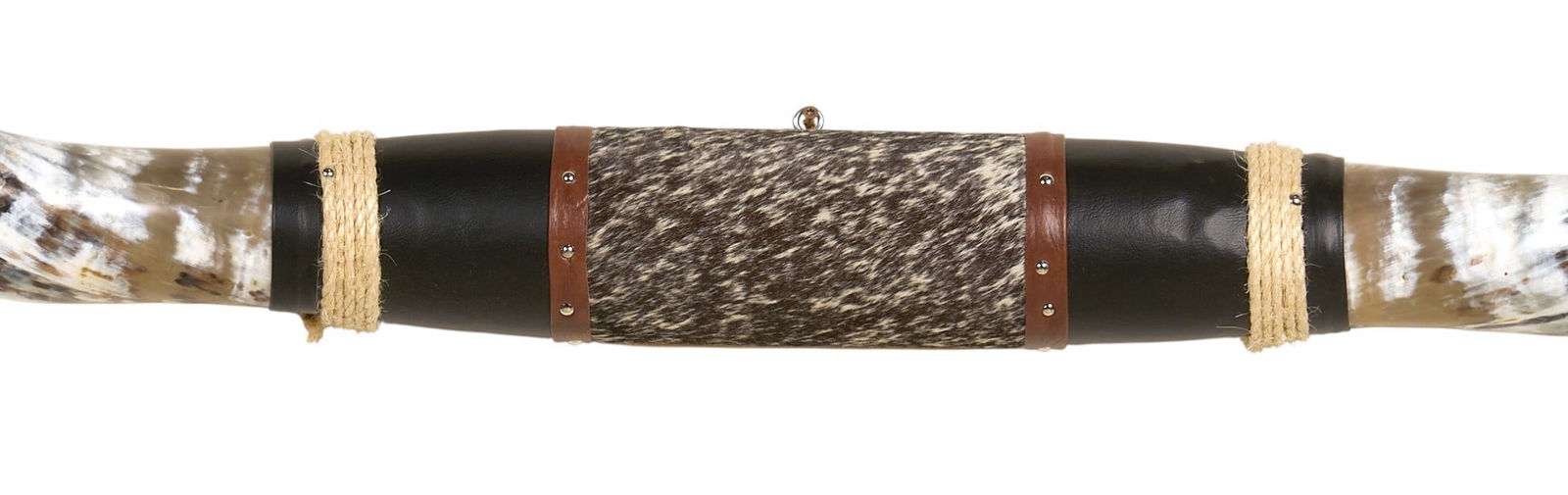 Mounted Steer Horns - 2