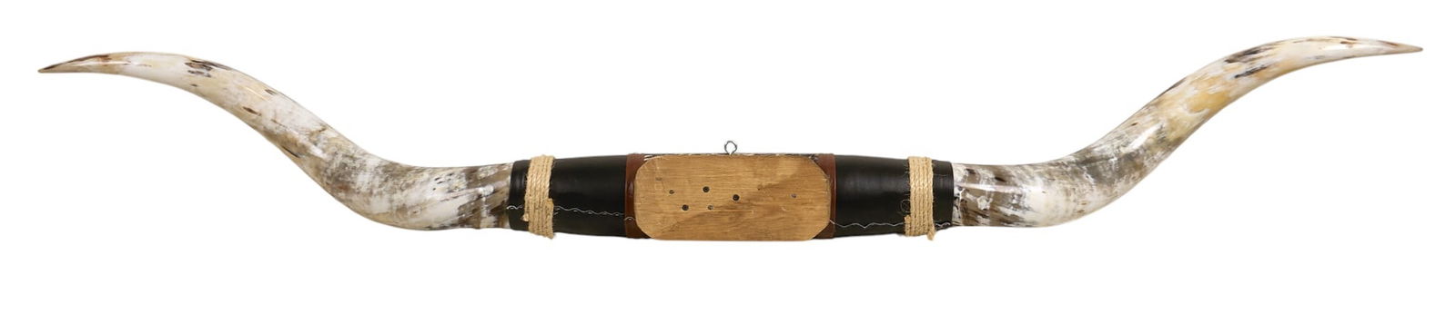 Mounted Steer Horns - 3