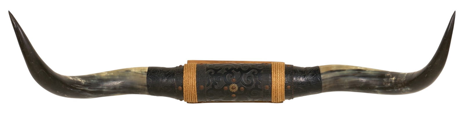 Mounted Steer Horns (1 of 3)