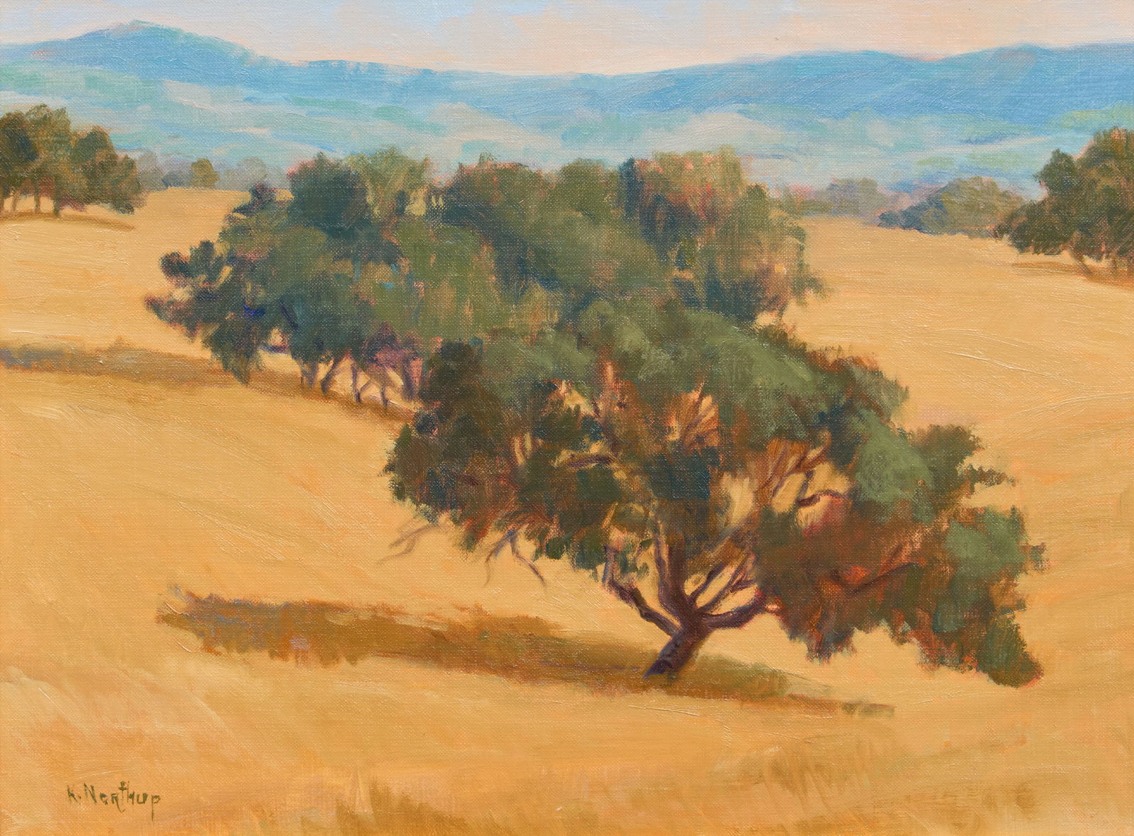 Kay Northup, "Live Oak Patterns": Kay Northup (Wyoming / Texas, 20th-21st C.), "Live Oak Patterns", oil on canvas laid to panel, signed lower left, inscribed on the verso with signature and titlesight: 12 x