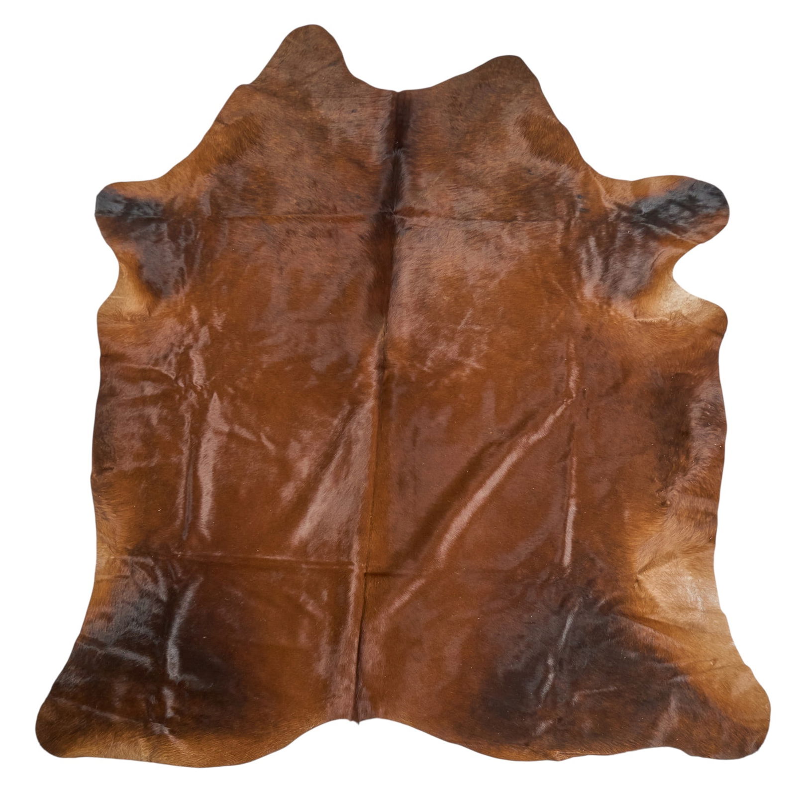 Brown Cowhide Rug, 7 ft. 4 in. x 6 ft. 6 in. (1 of 3)