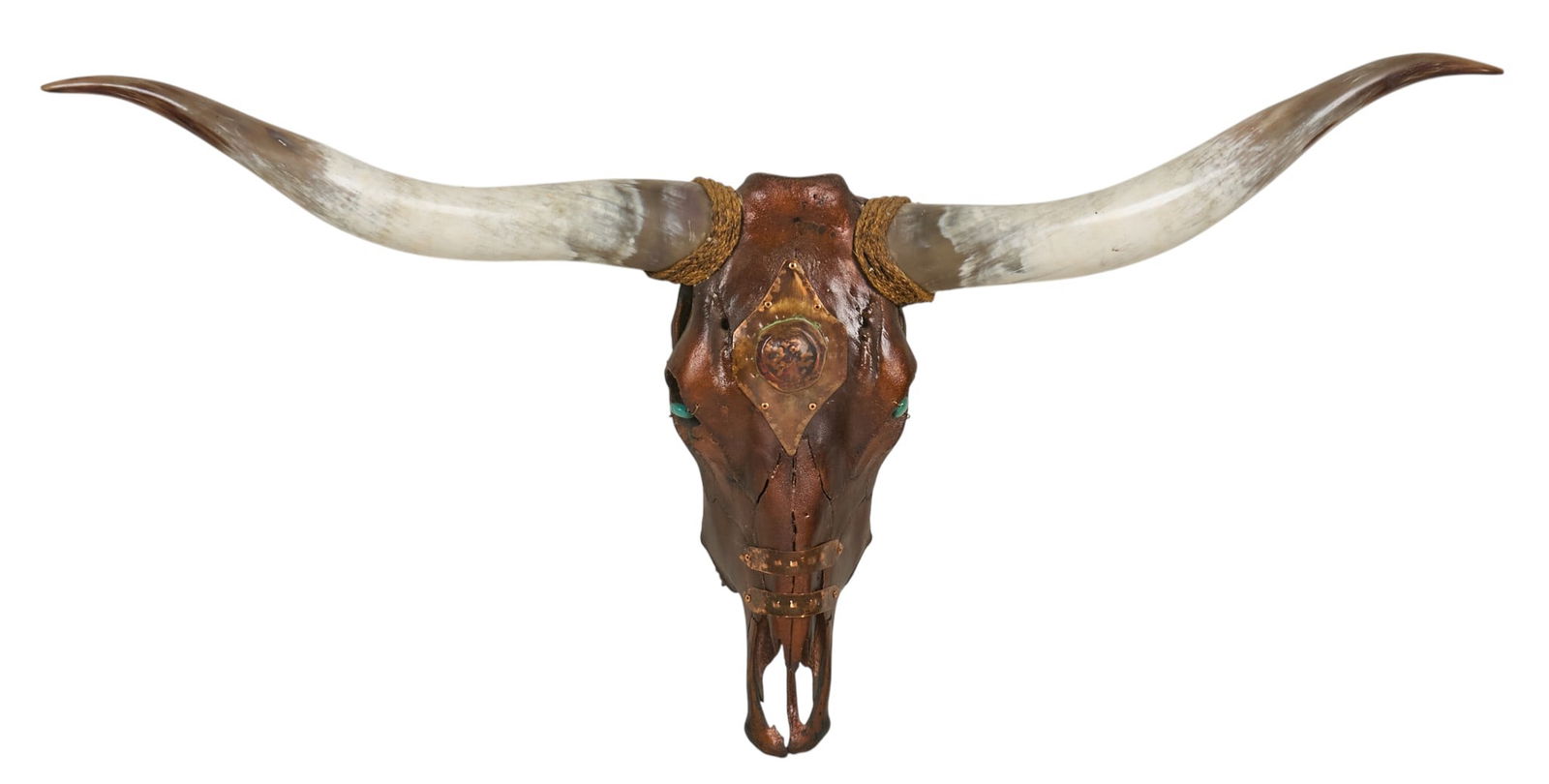 Mounted Steer Skull - 2