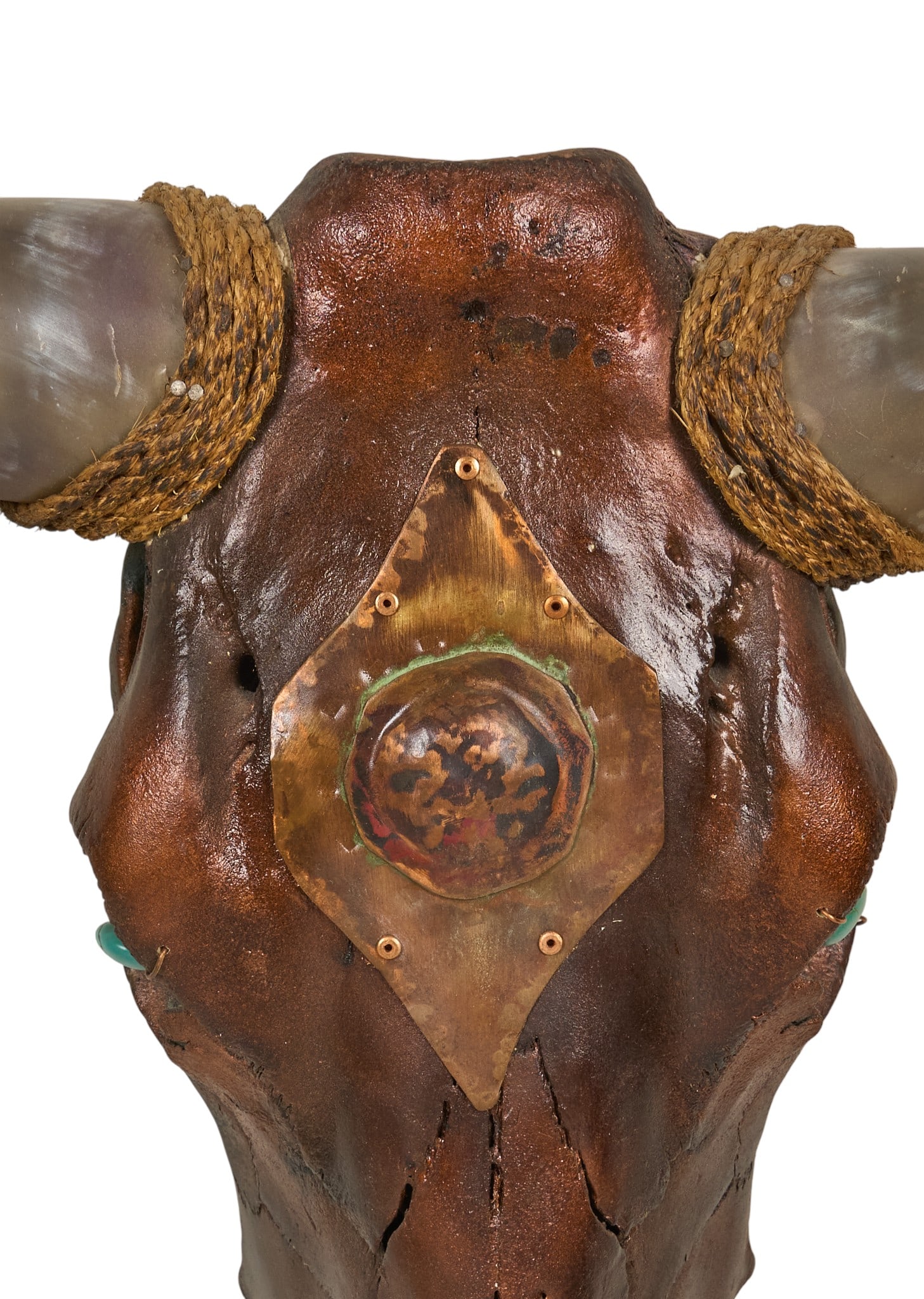 Mounted Steer Skull - 3