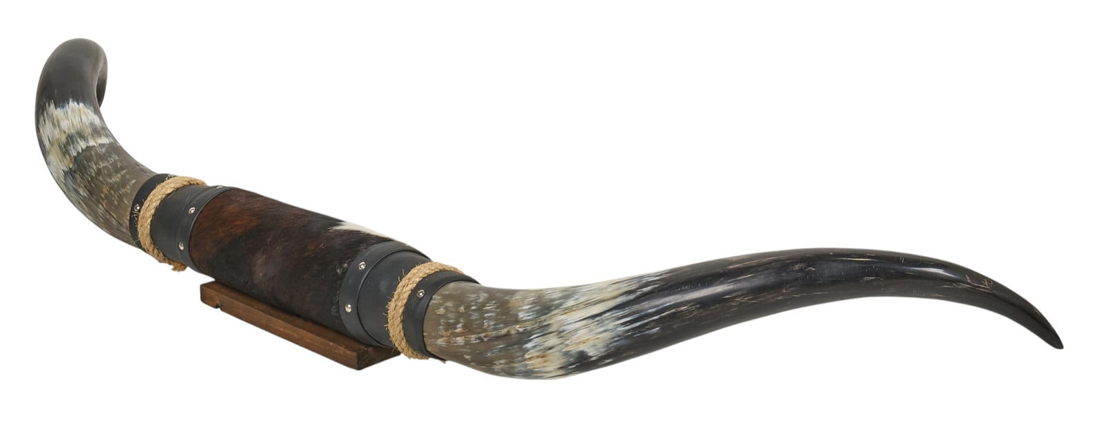 Mounted Steer Horns (1 of 4)