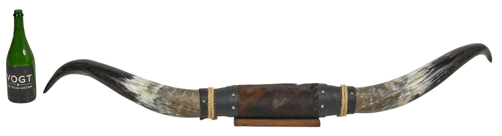 Mounted Steer Horns - 2