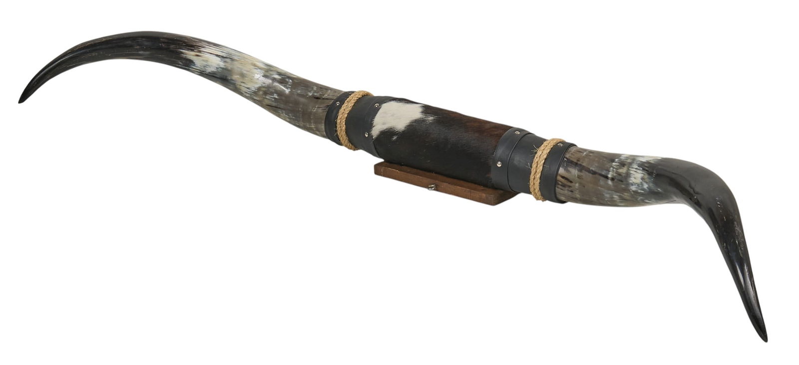 Mounted Steer Horns - 4