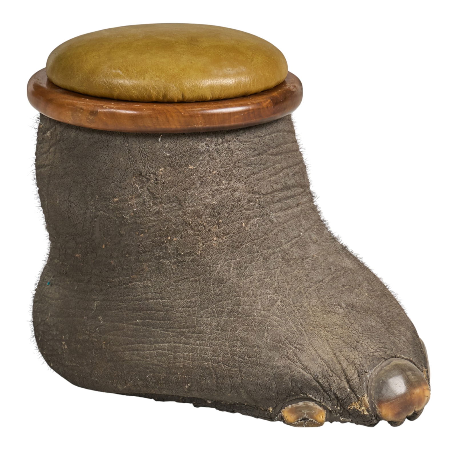 Elephant Foot Bar: Taxidermied elephant foot repurposed as small bar, with removable copper interior with wooden rim, and cushioned leather topheight 17 in. x width 14 in. x depth 21 in. Provenance: Property
