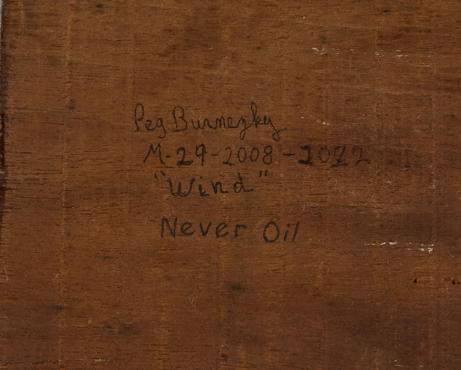 Peg Burnezky, "Wind" - 3