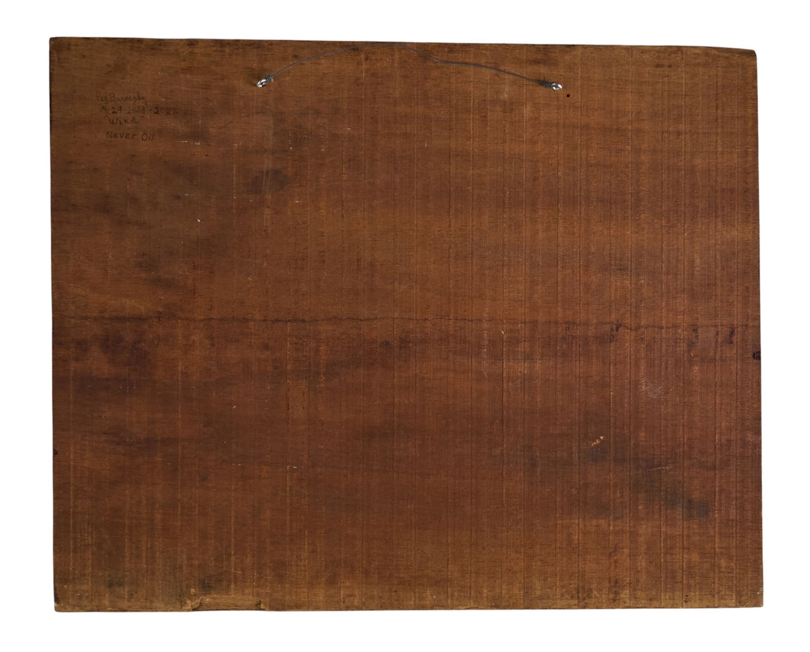 Peg Burnezky, "Wind" - 4