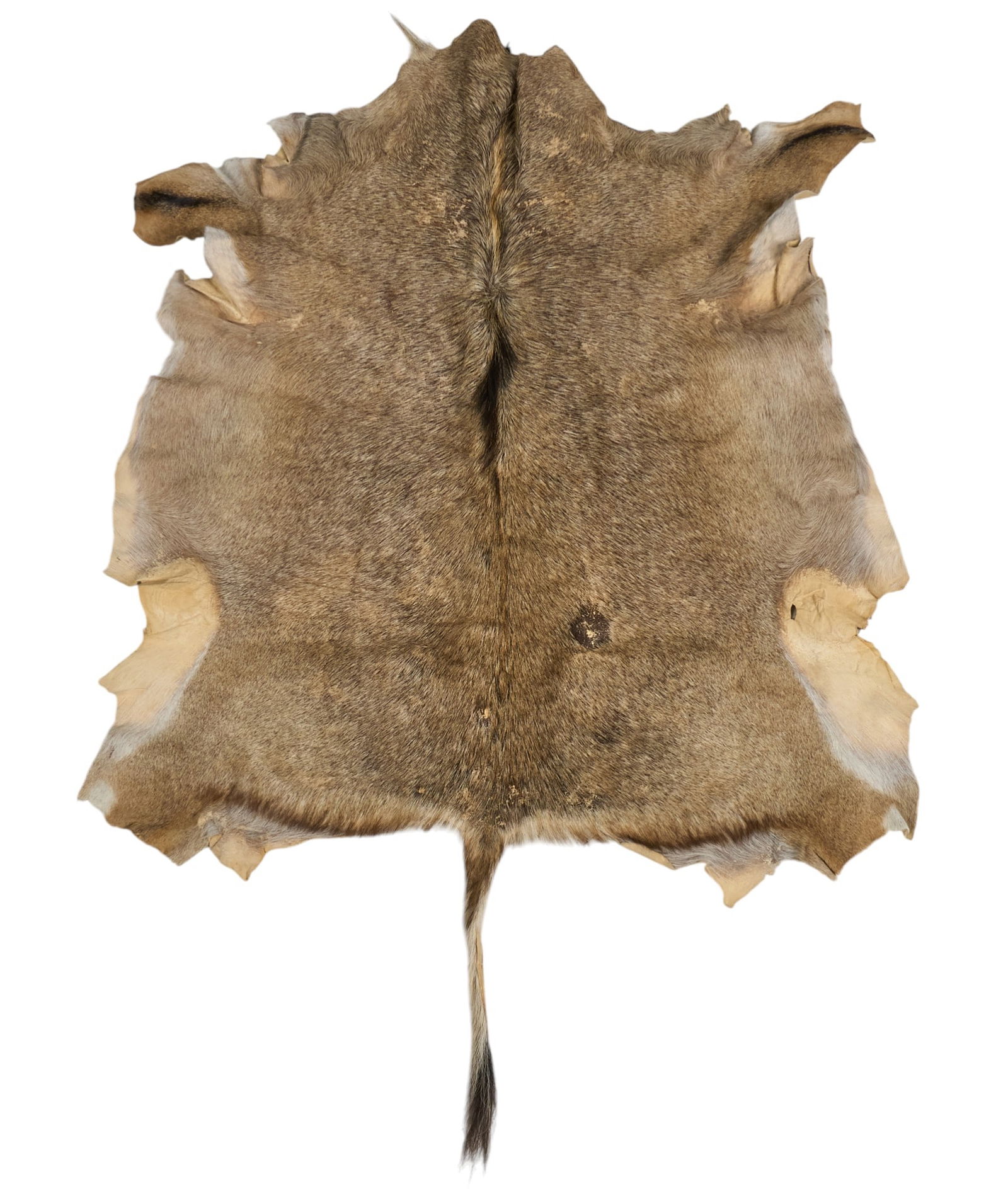 Wildebeest Hide, 6 ft. 2 in. x 4 ft. (1 of 3)