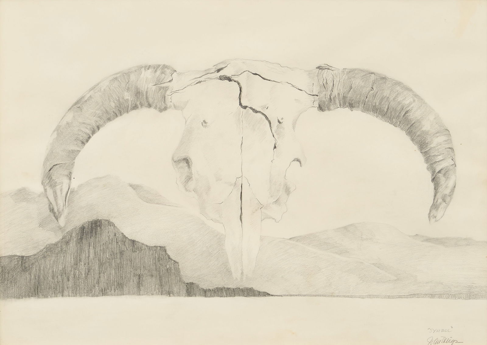 John Meigs, "Symbol": John Meigs (New Mexico, 1916-2003), "Symbol", cattle skull, pencil on paper, signed and titled in the lower rightsight: 21 x 30 in., frame: 25 x 34 in.Provenance: Property from the estate