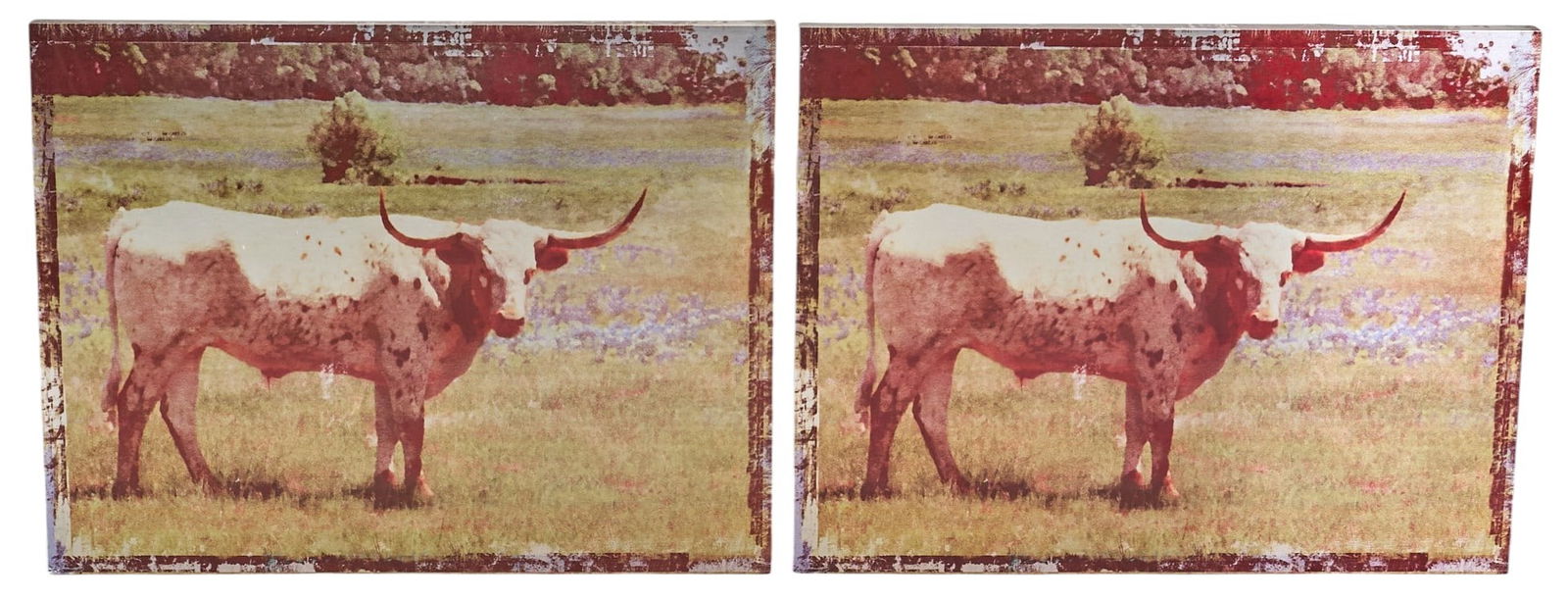 Pair of Longhorn Prints on Tin: Pair of prints on tin depicting a vintage photograph of longhorn in a fieldheight 42 in. x width 32 in. x depth 2 in. Provenance: Property from a home in San Antonio, Texas