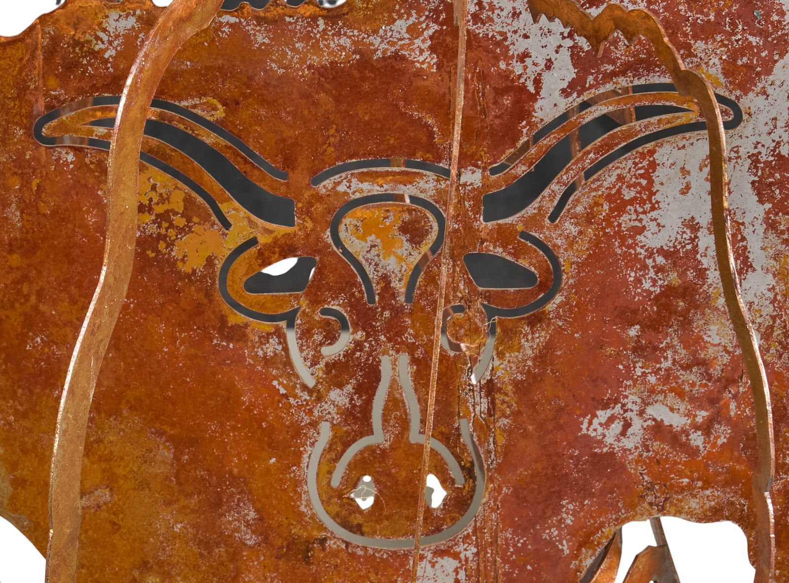 Rustic Texas Longhorn Wind Spinner - 4