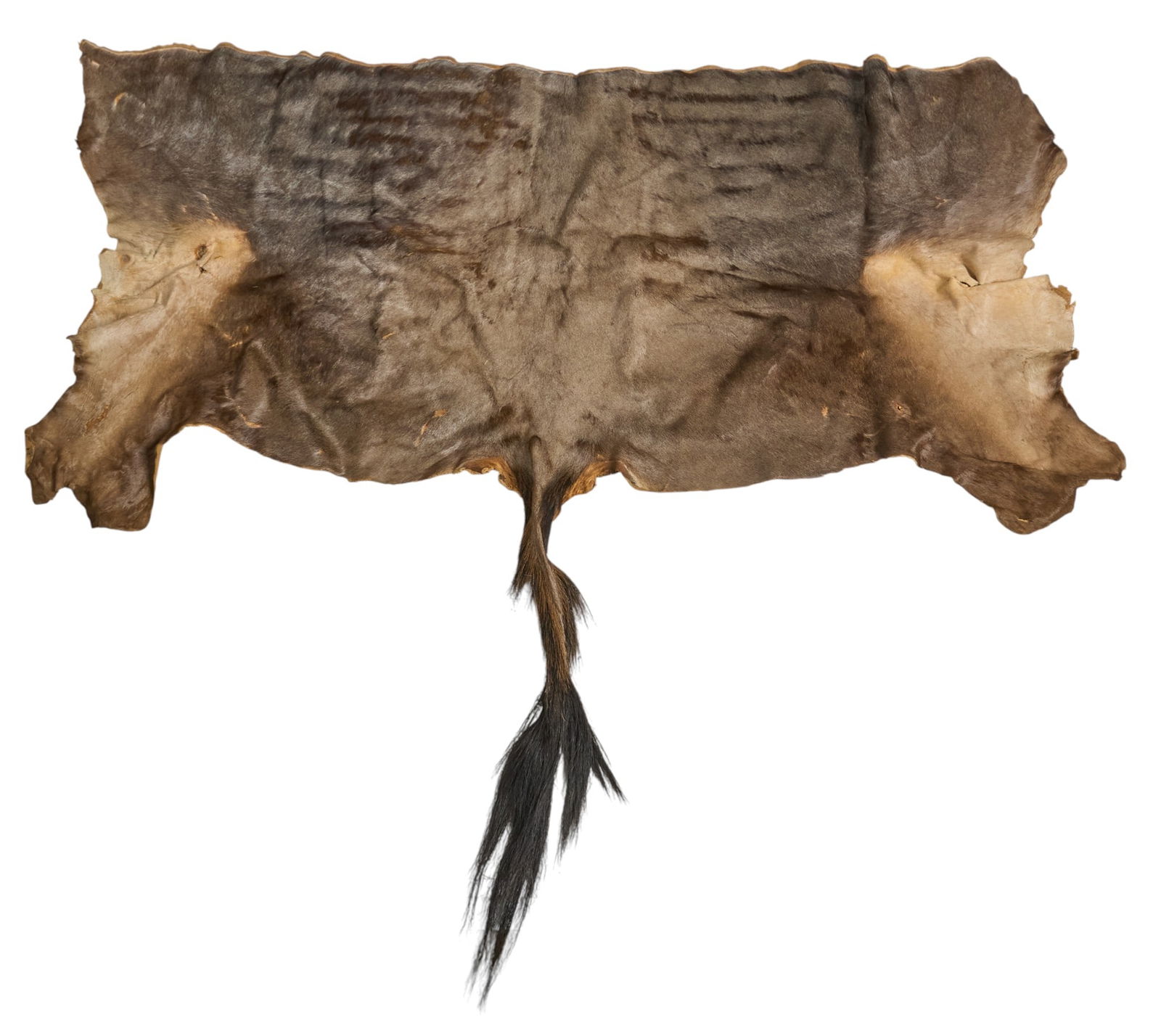Partial Wildebeest Hide, 4 ft. 10 in. x 5 ft.: Partial wildebeest hide with tail4 ft. 10 in. x 5 ft.Provenance: Property from a home in San Antonio, Texas
