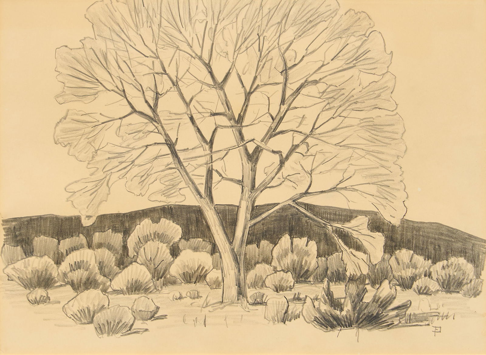 Fred Darge, Tree Study (1 of 4)
