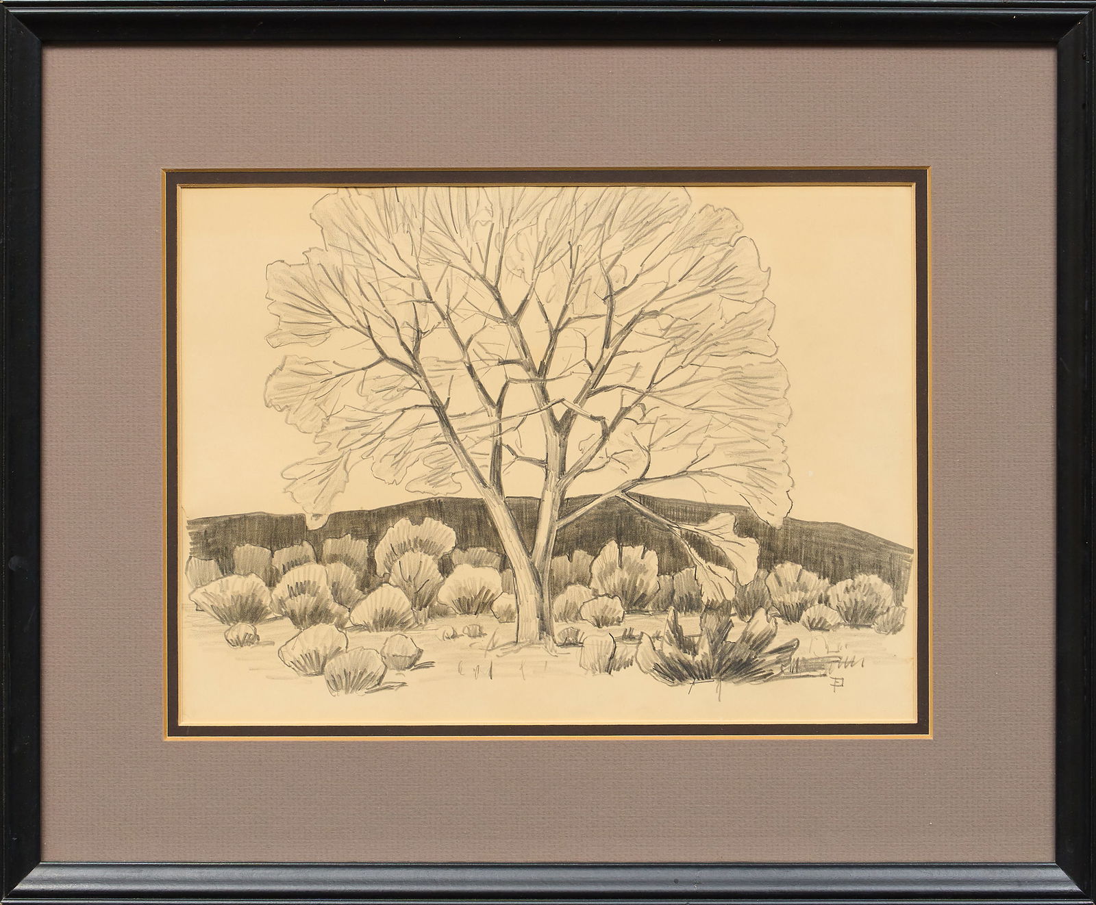 Fred Darge, Tree Study - 2