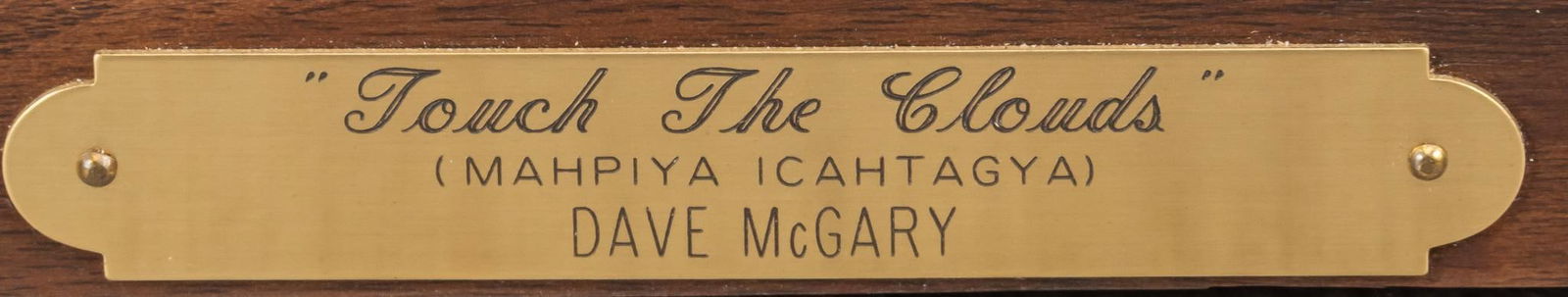 Dave McGary, "Touch the Clouds" - 6