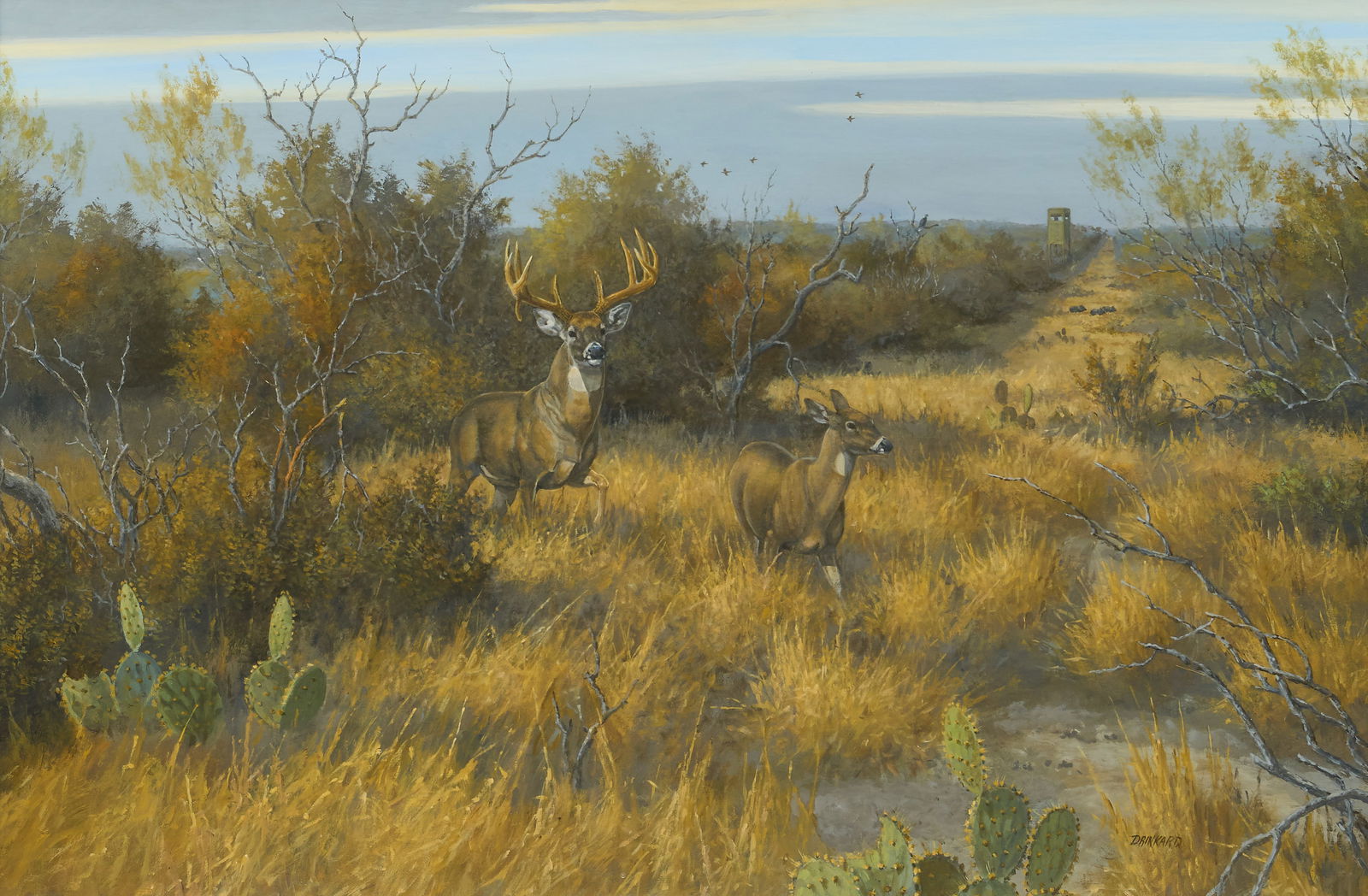 David Drinkard, "Sendero Crossing" (1 of 5)